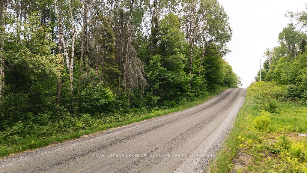 123 Ely Side Road Property Photo 4