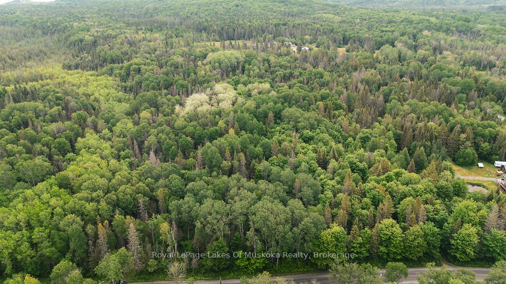 123 Ely Side Road Property Photo 5