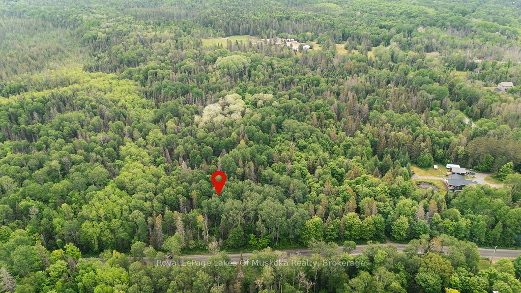 123 Ely Side Road Property Photo 7