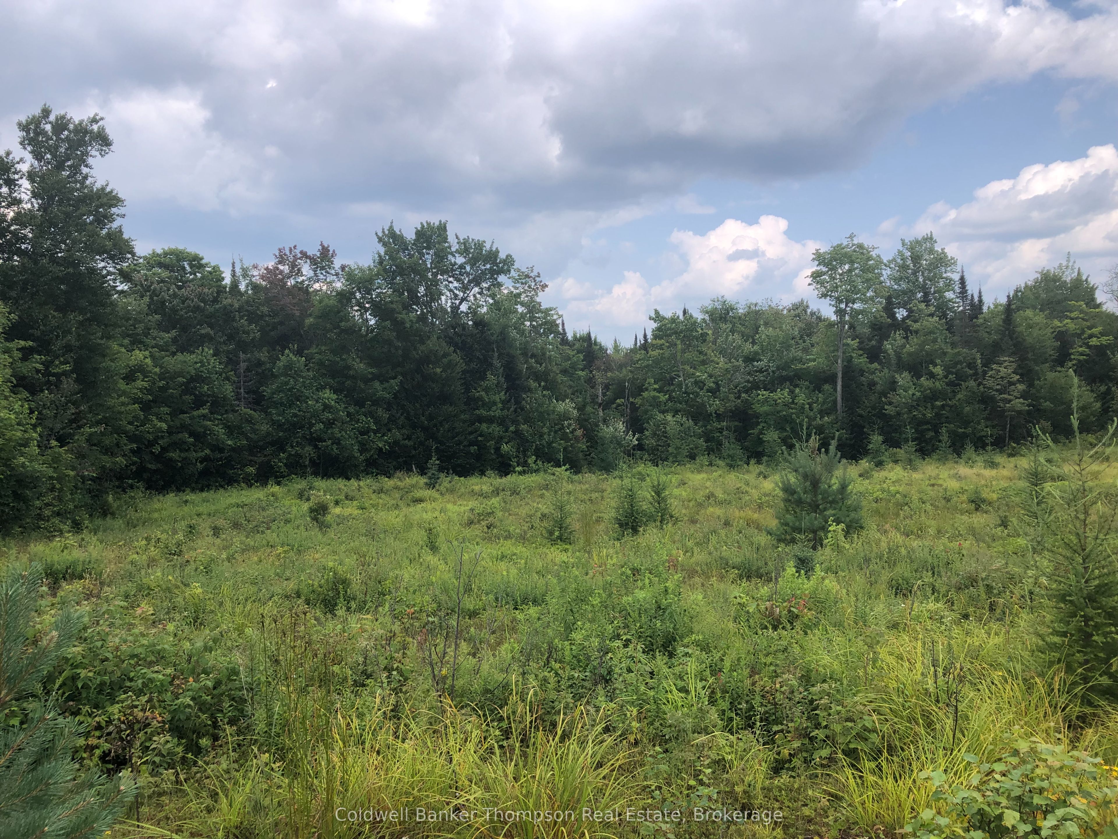 522 Albert Street N Property Photo 1