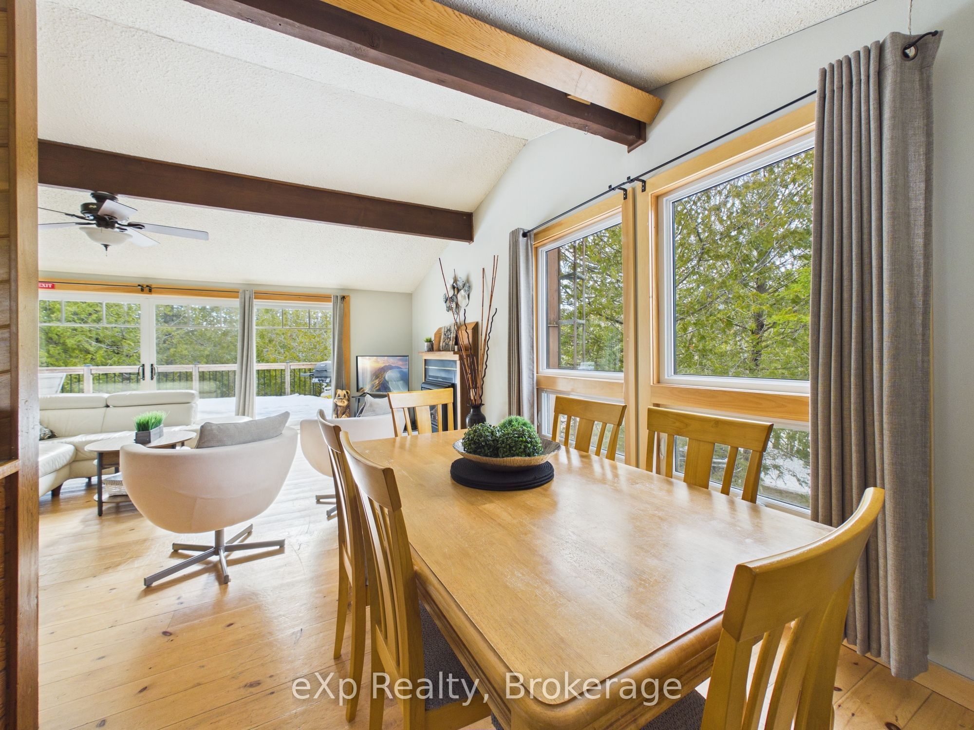 26 Elgin Street Property Photo 6