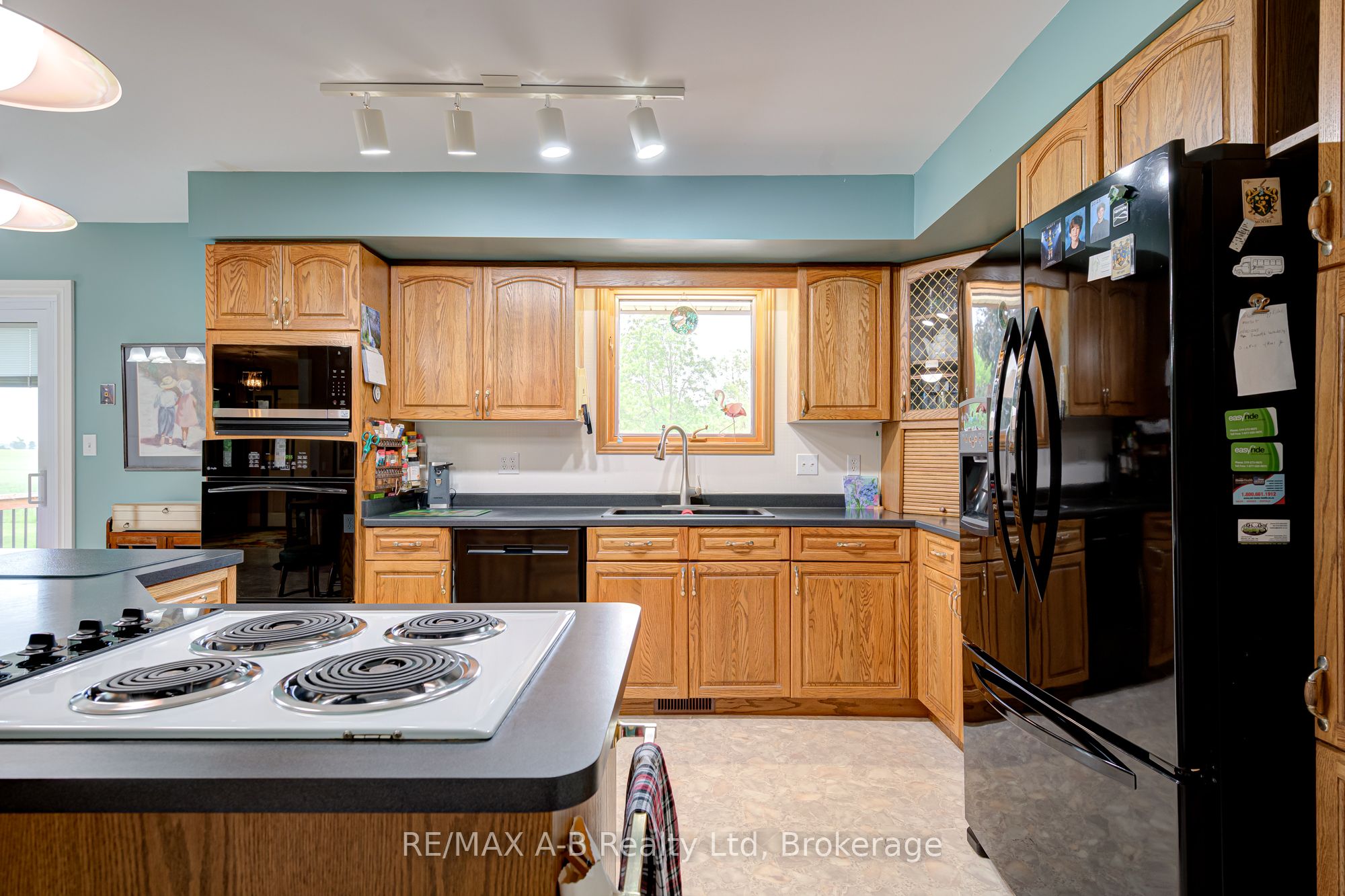 137 Mitchell Court Property Photo 13