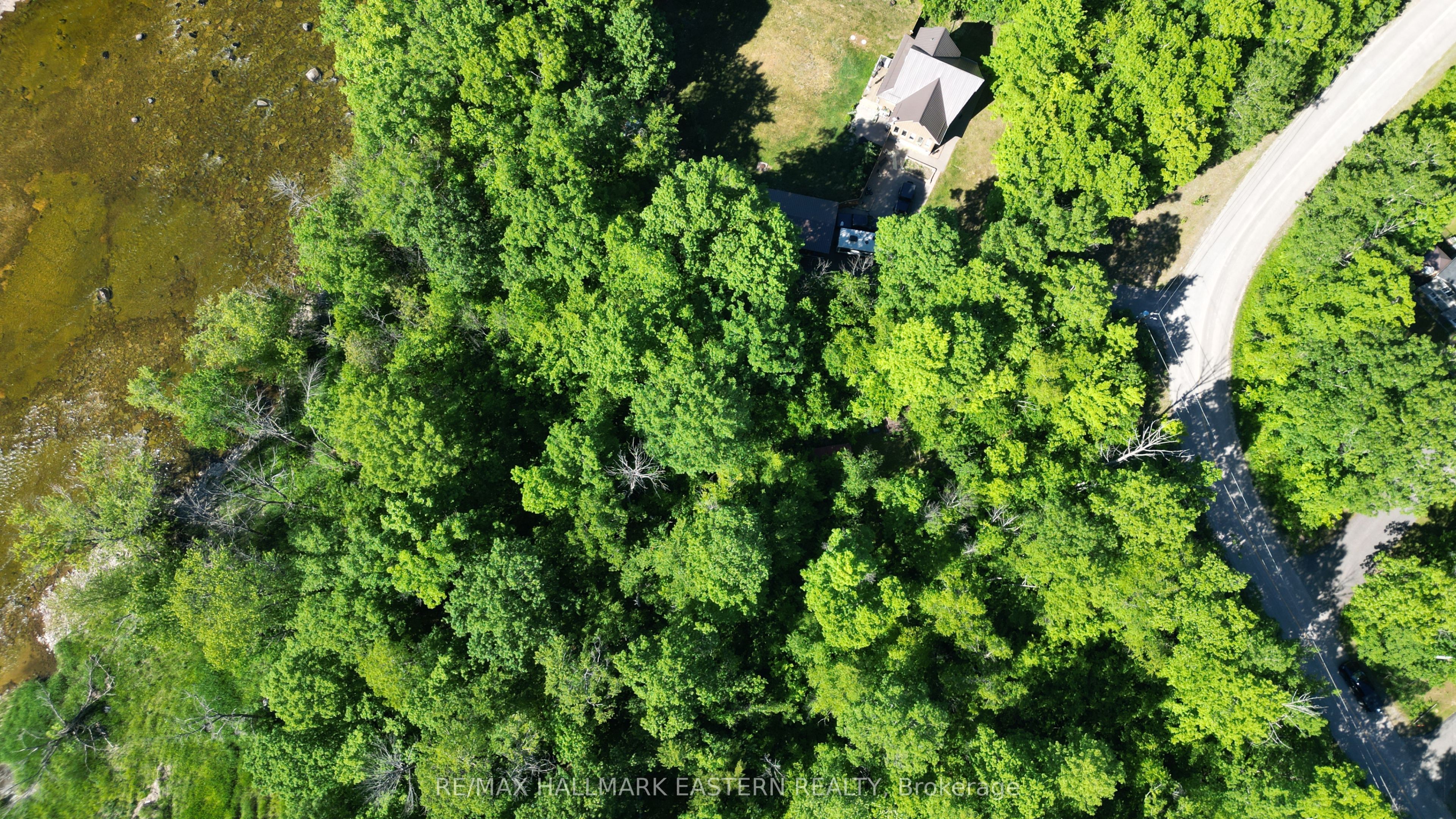 20 Riverside Drive Property Photo 6
