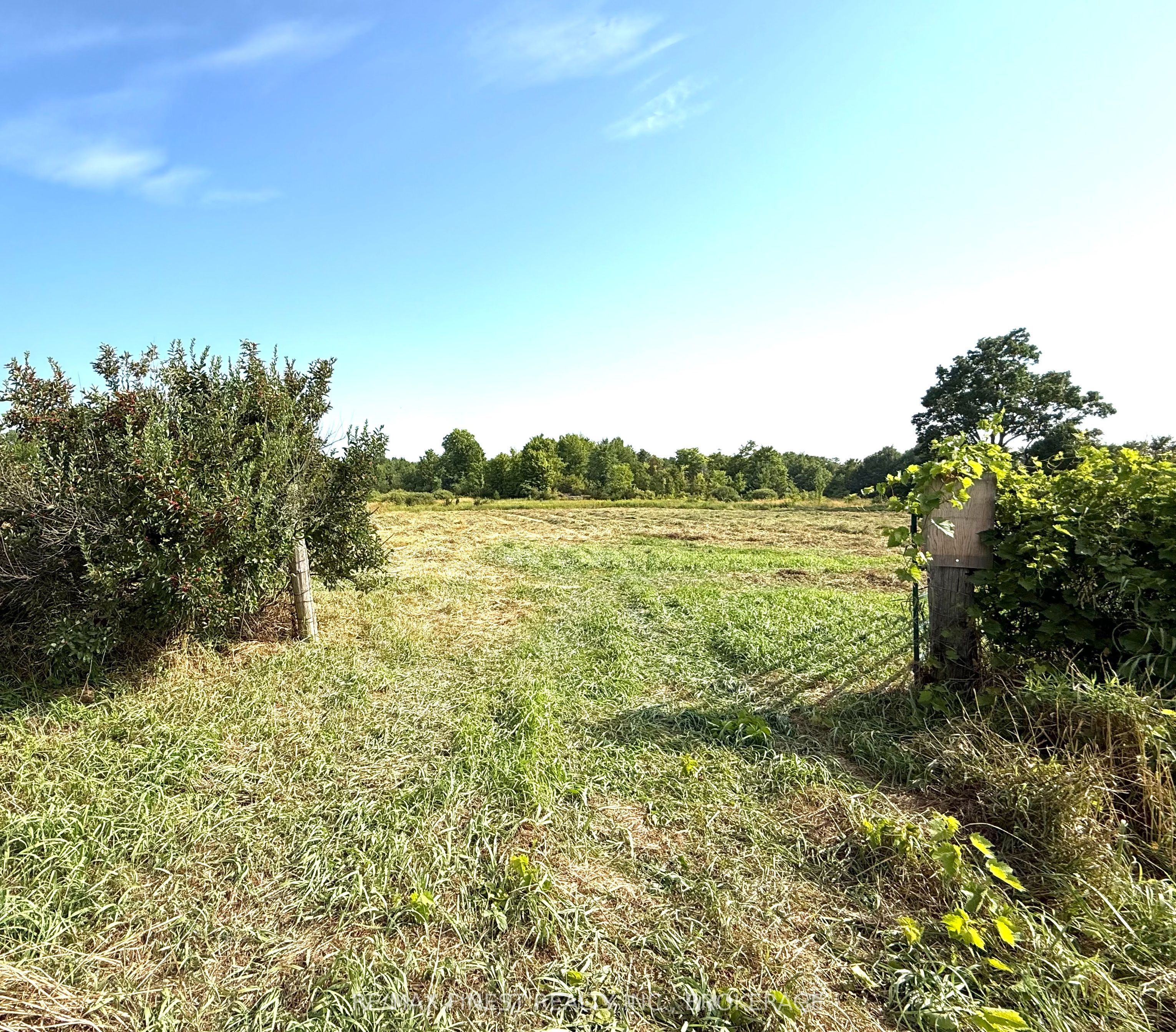 0 Pelow Road Property Photo 3