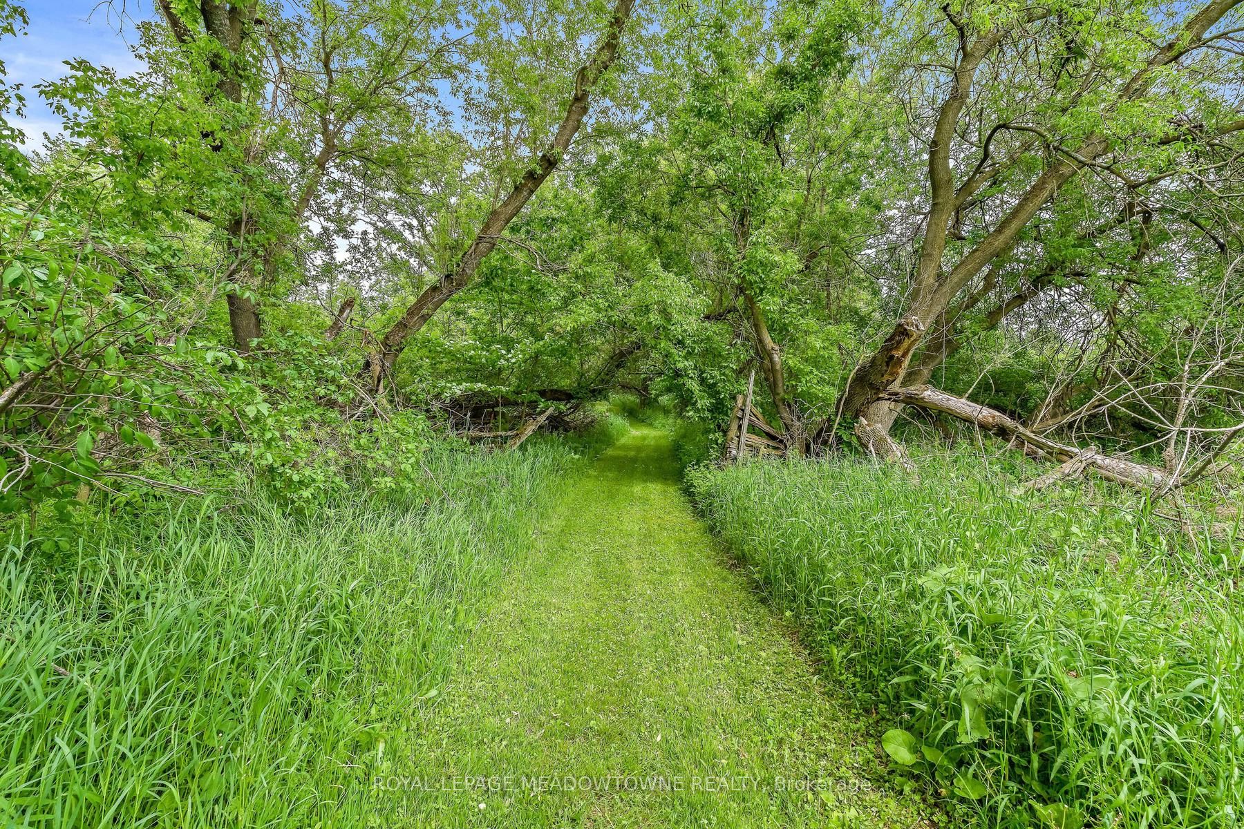 954399 7th Line Ehs Property Photo 37