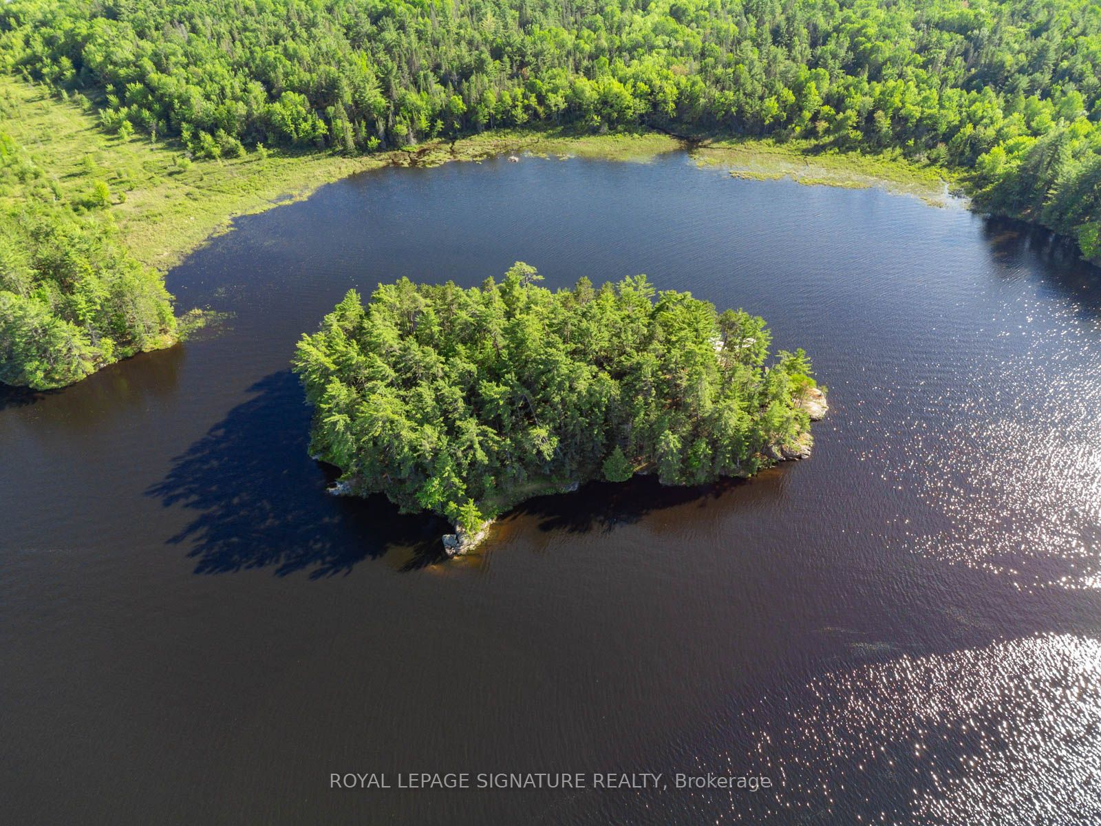2 Dad's Rest Island Property Photo 3