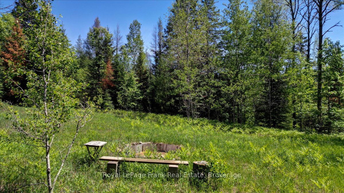 2523 Old Hastings Road Property Photo 49