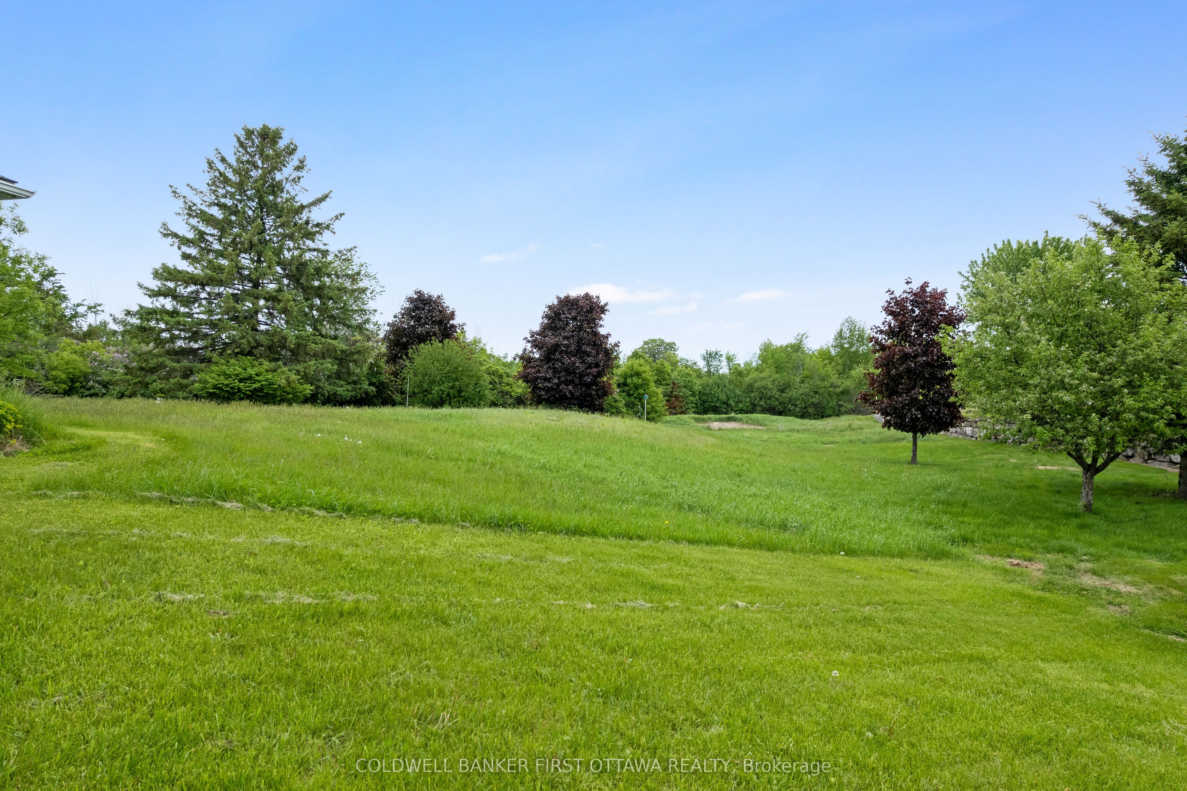363 Napoleon Street Property Photo 5