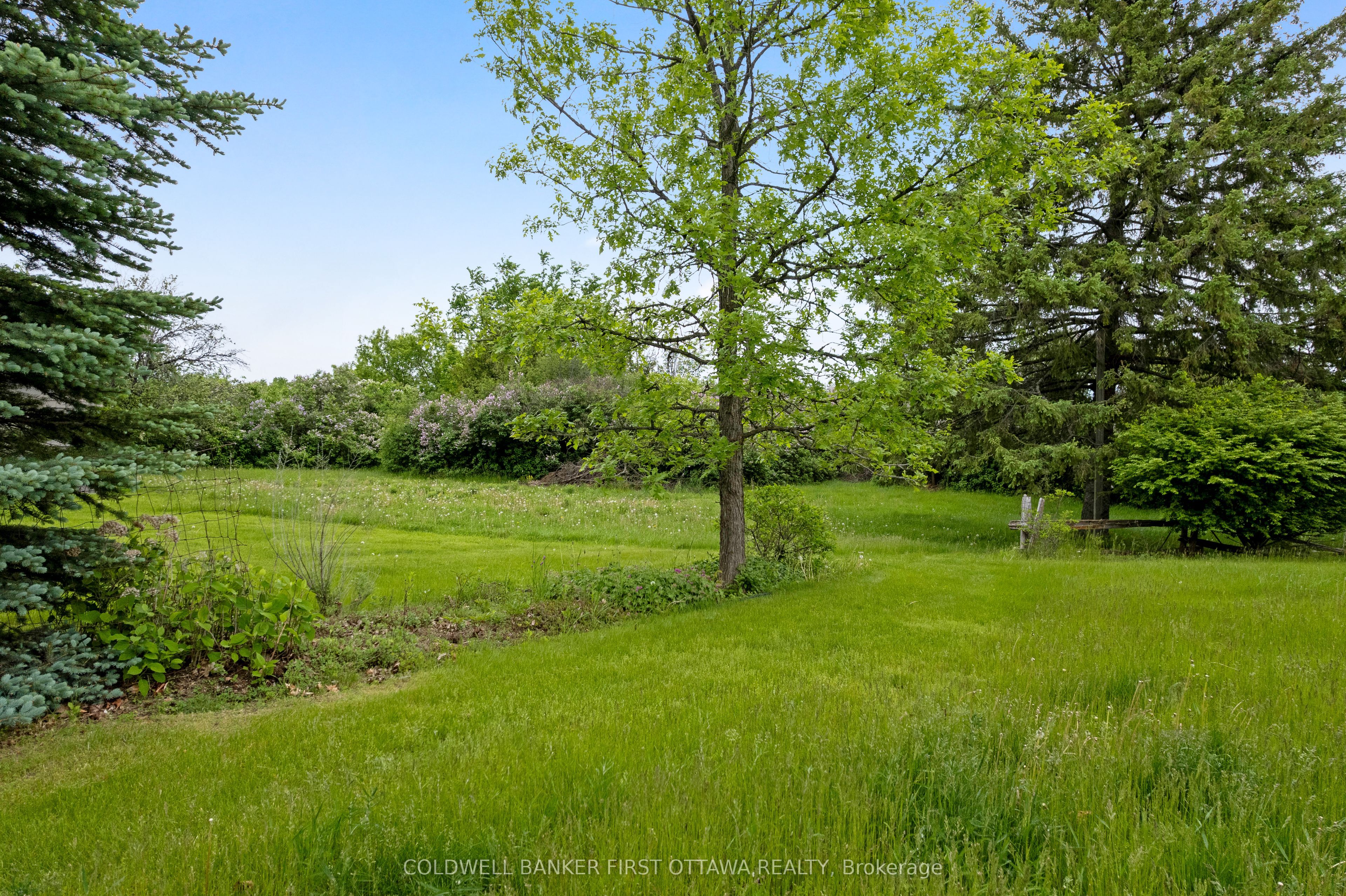 363 Napoleon Street Property Photo 46