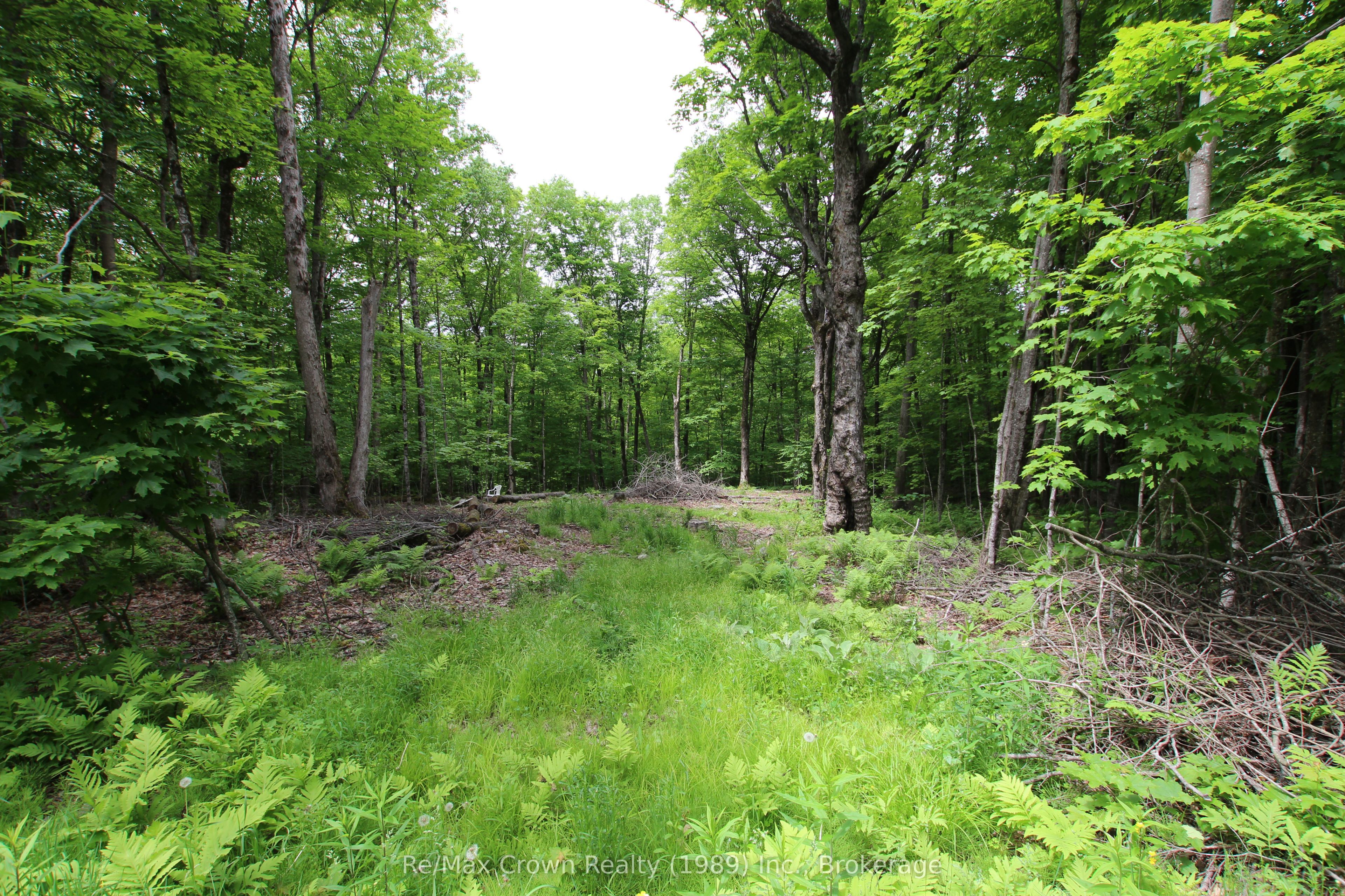 0 Limberlost Point Road Property Photo 6
