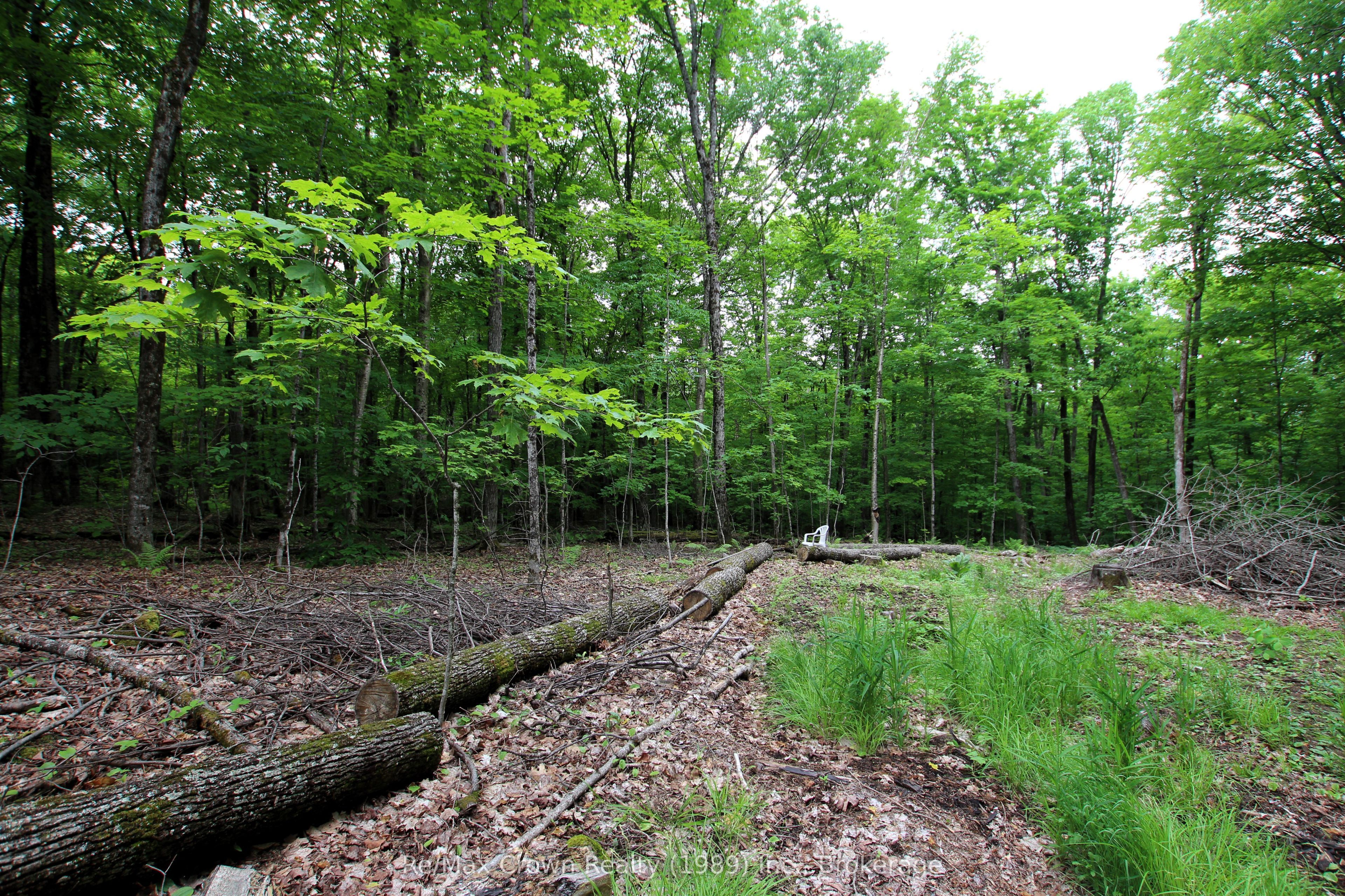 0 Limberlost Point Road Property Photo 7