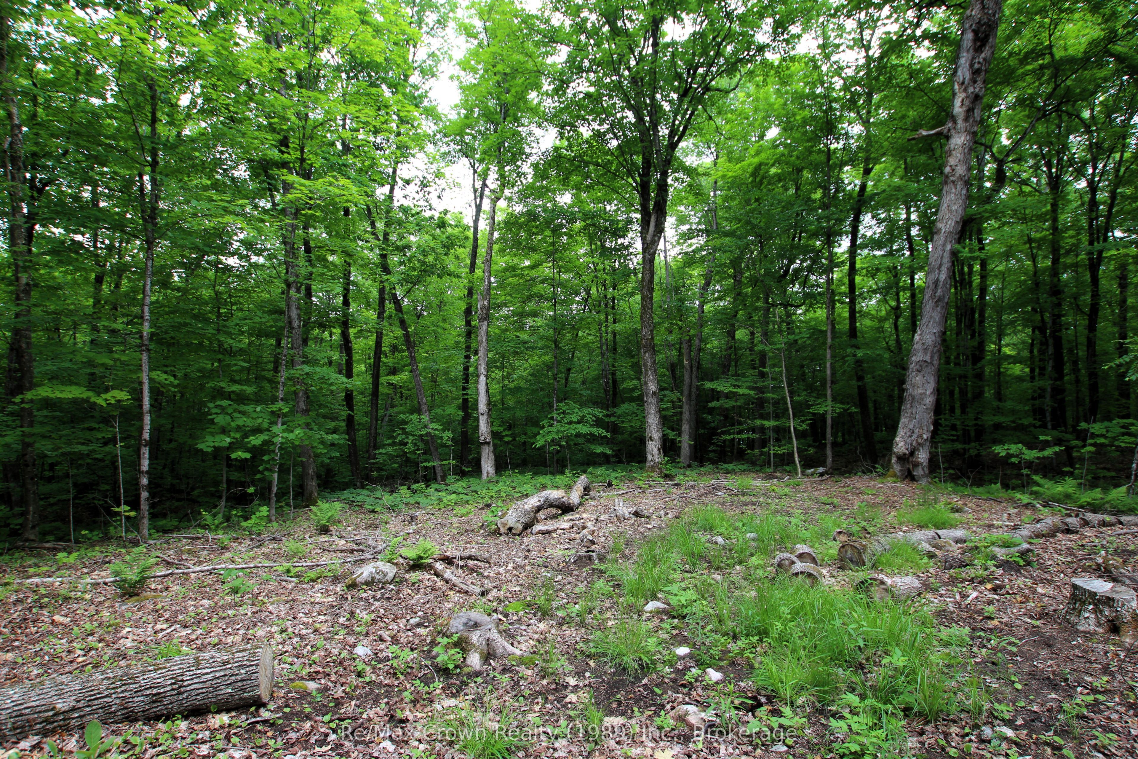0 Limberlost Point Road Property Photo 8