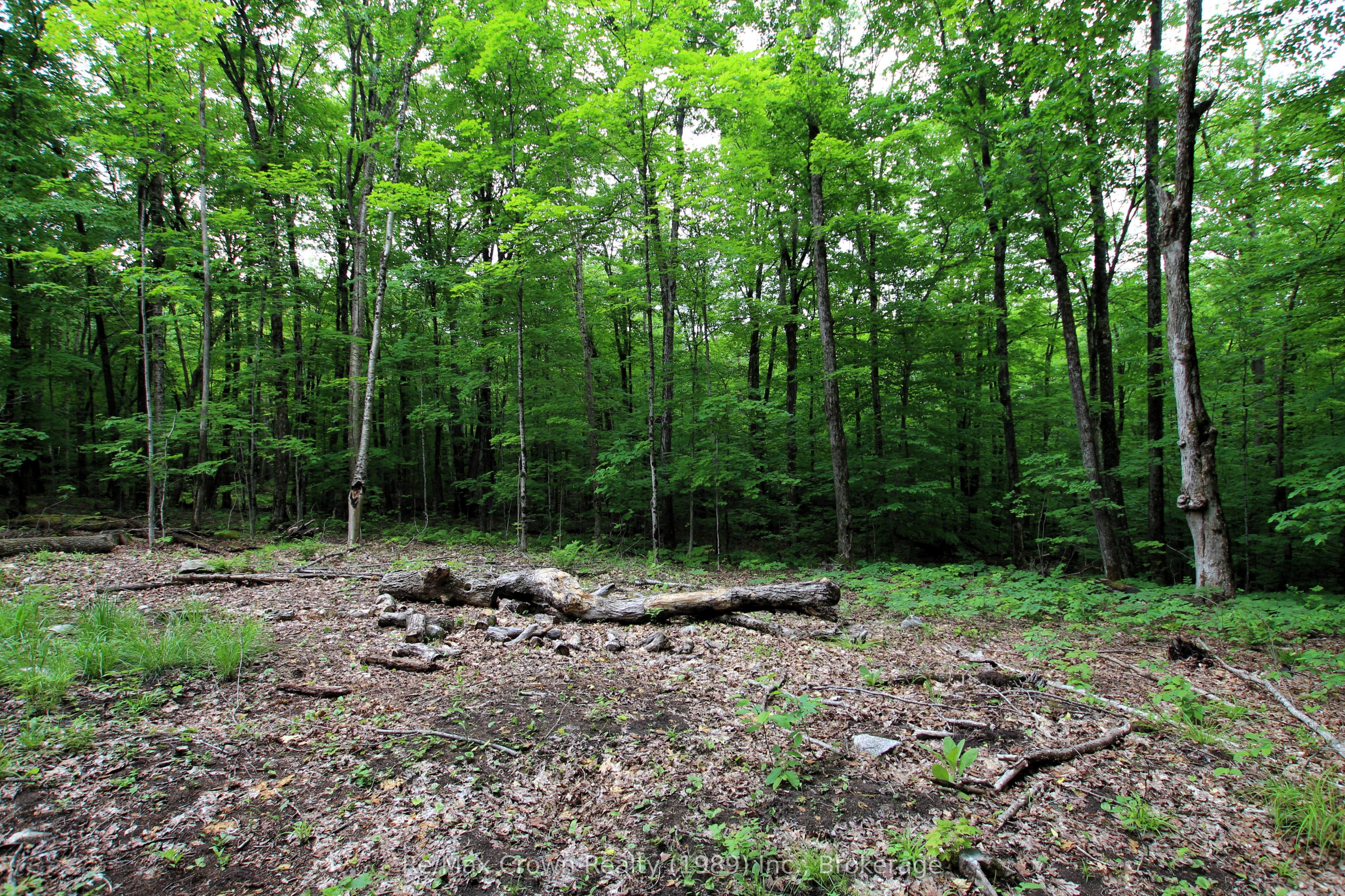 0 Limberlost Point Road Property Photo 9