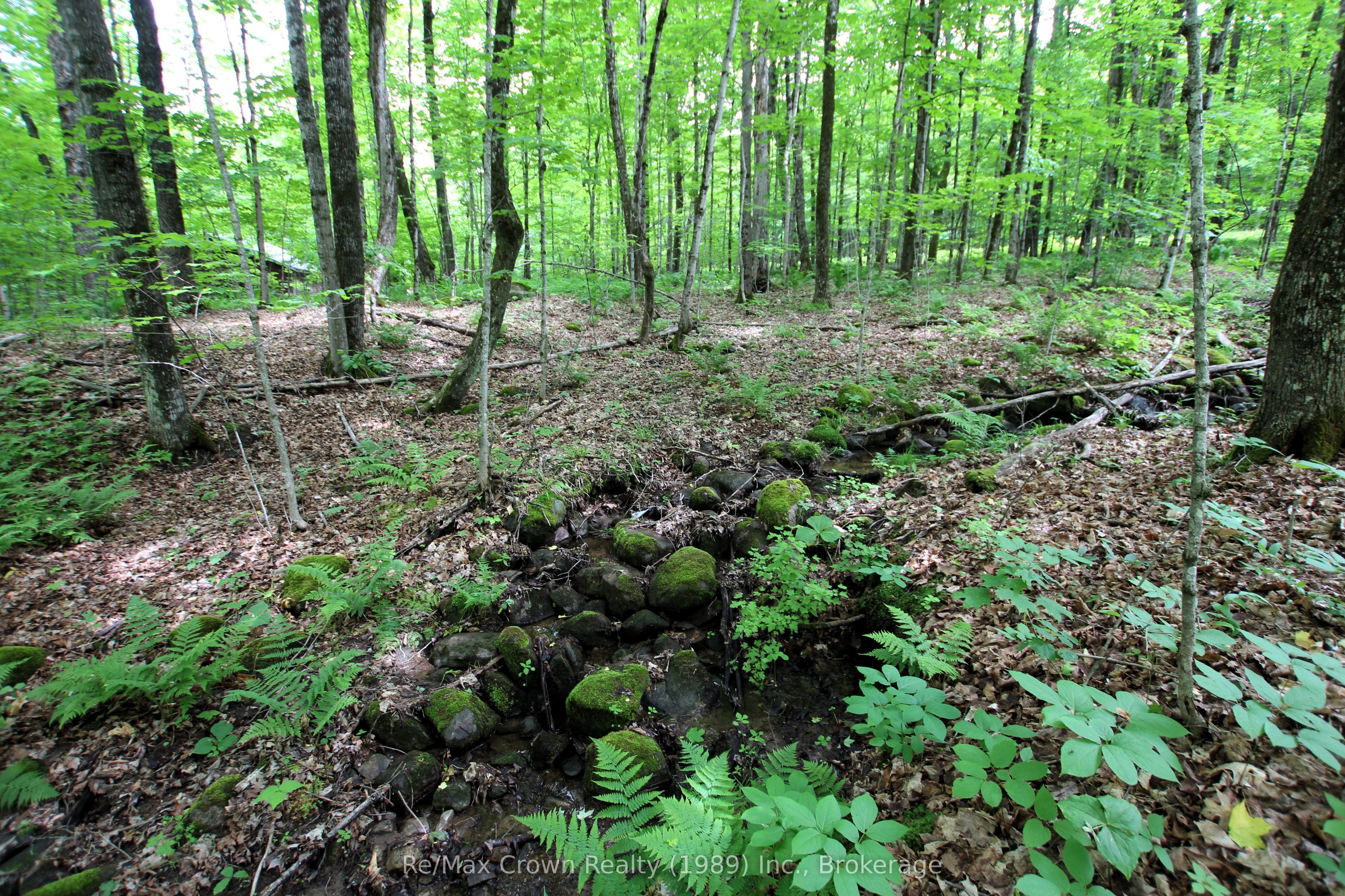 0 Limberlost Point Road Property Photo 10