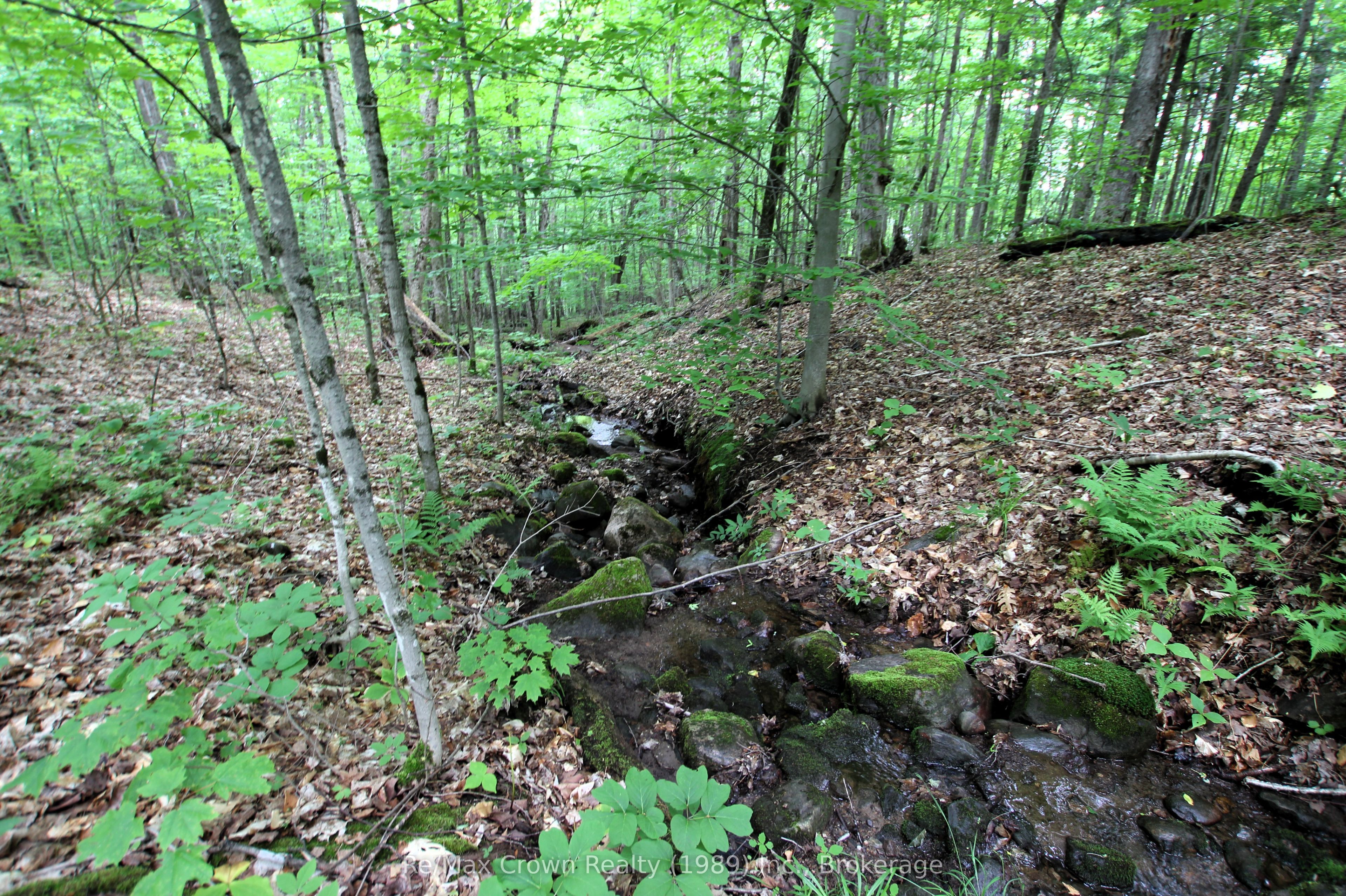 0 Limberlost Point Road Property Photo 11