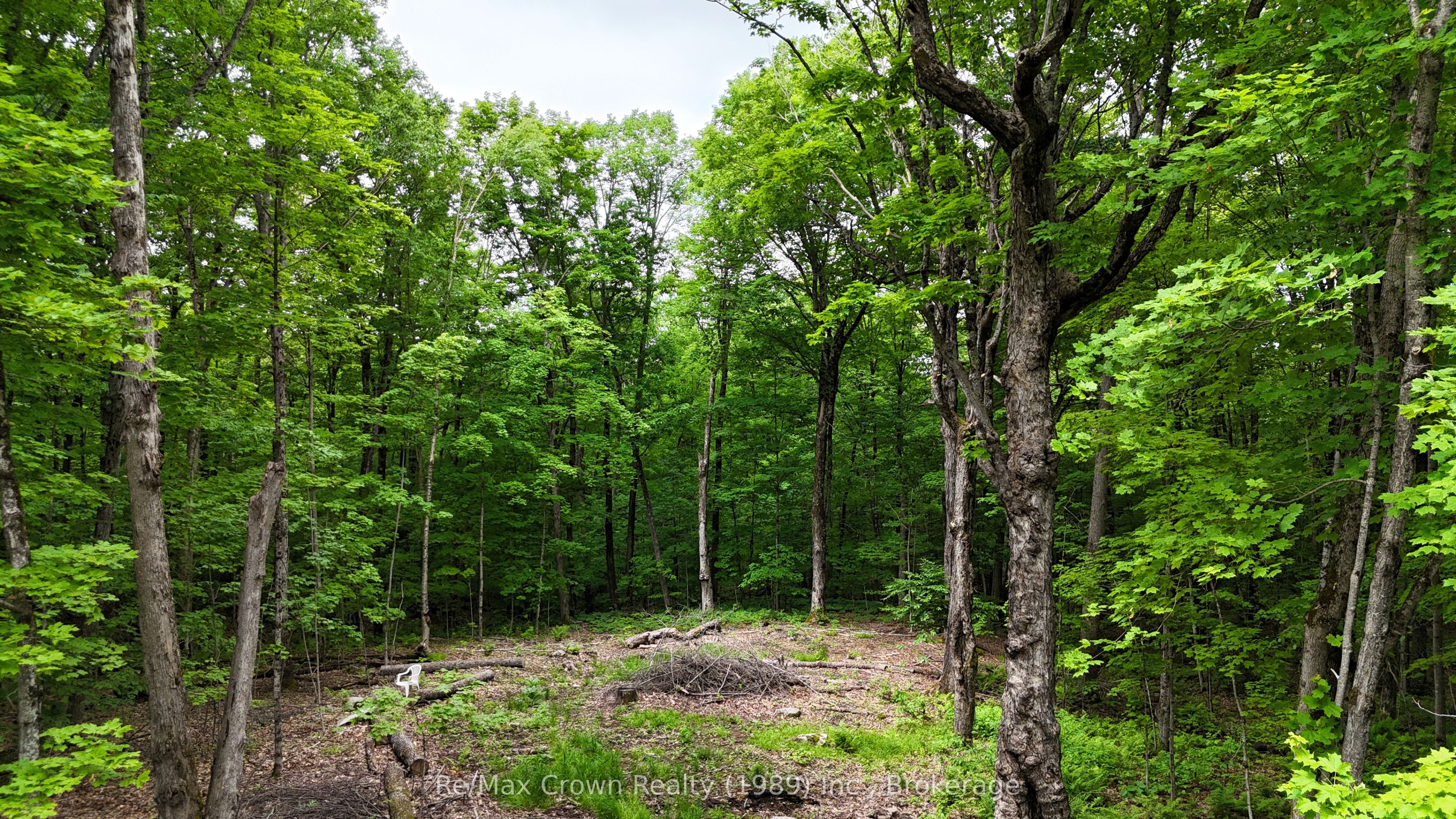 0 Limberlost Point Road Property Photo 12