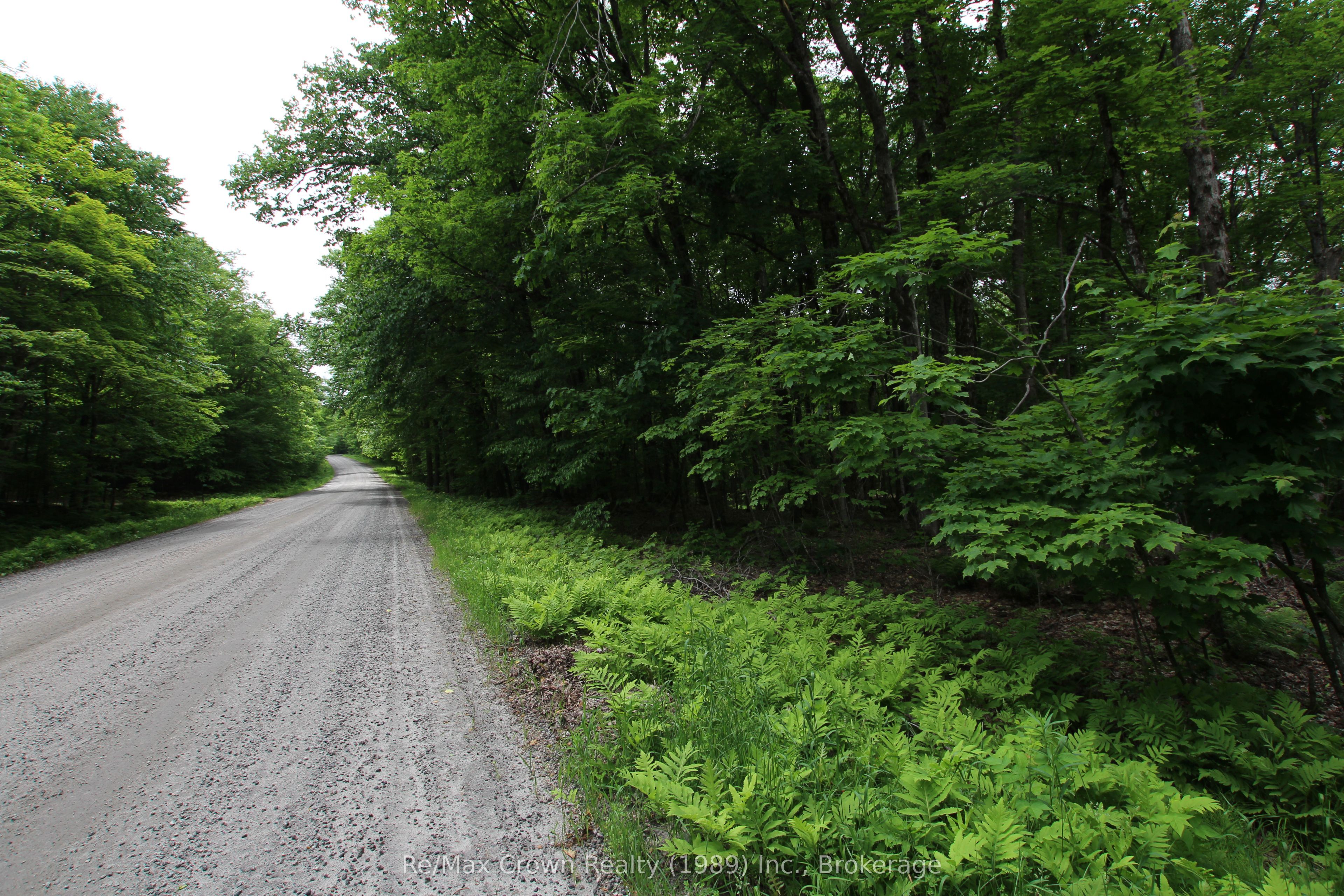 0 Limberlost Point Road Property Photo 16