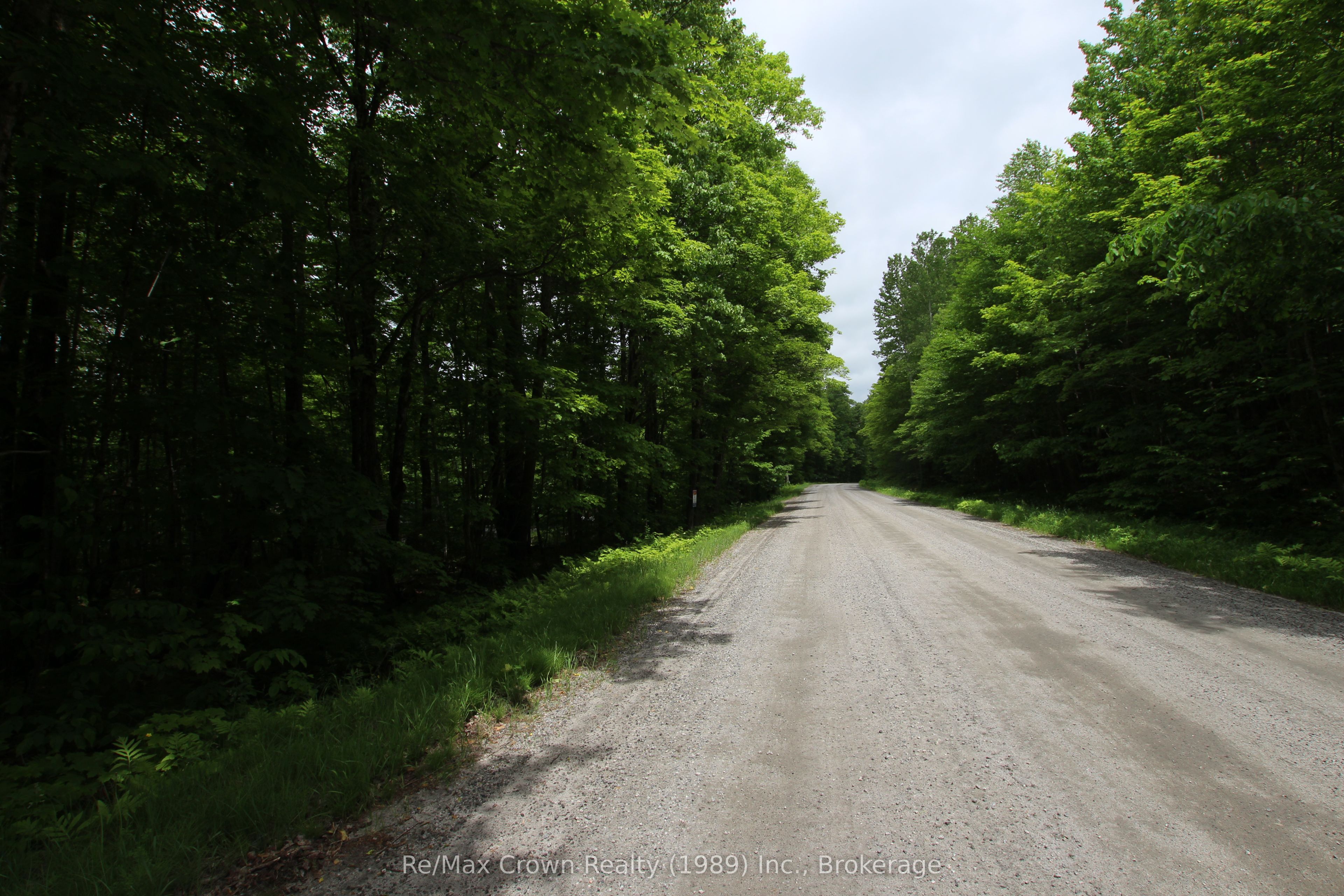 0 Limberlost Point Road Property Photo 17