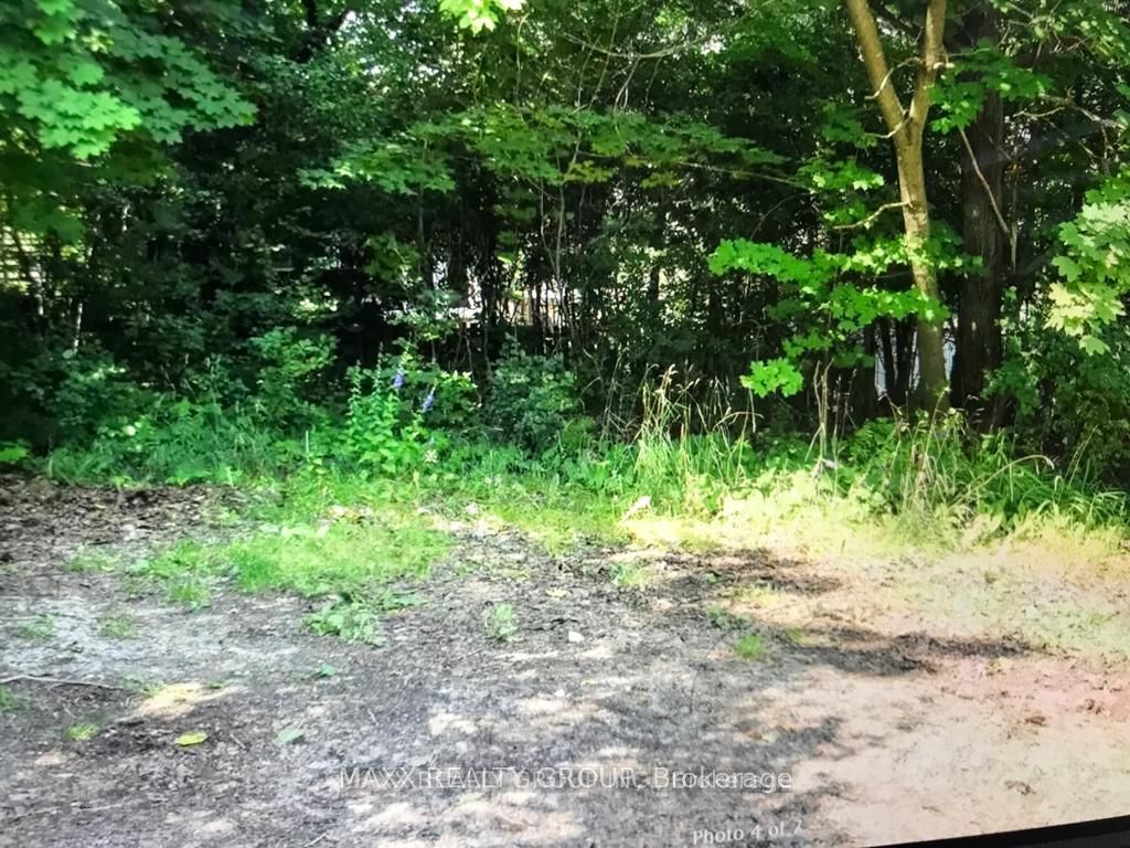 Lt 24 Birchcliff Avenue Property Photo 10