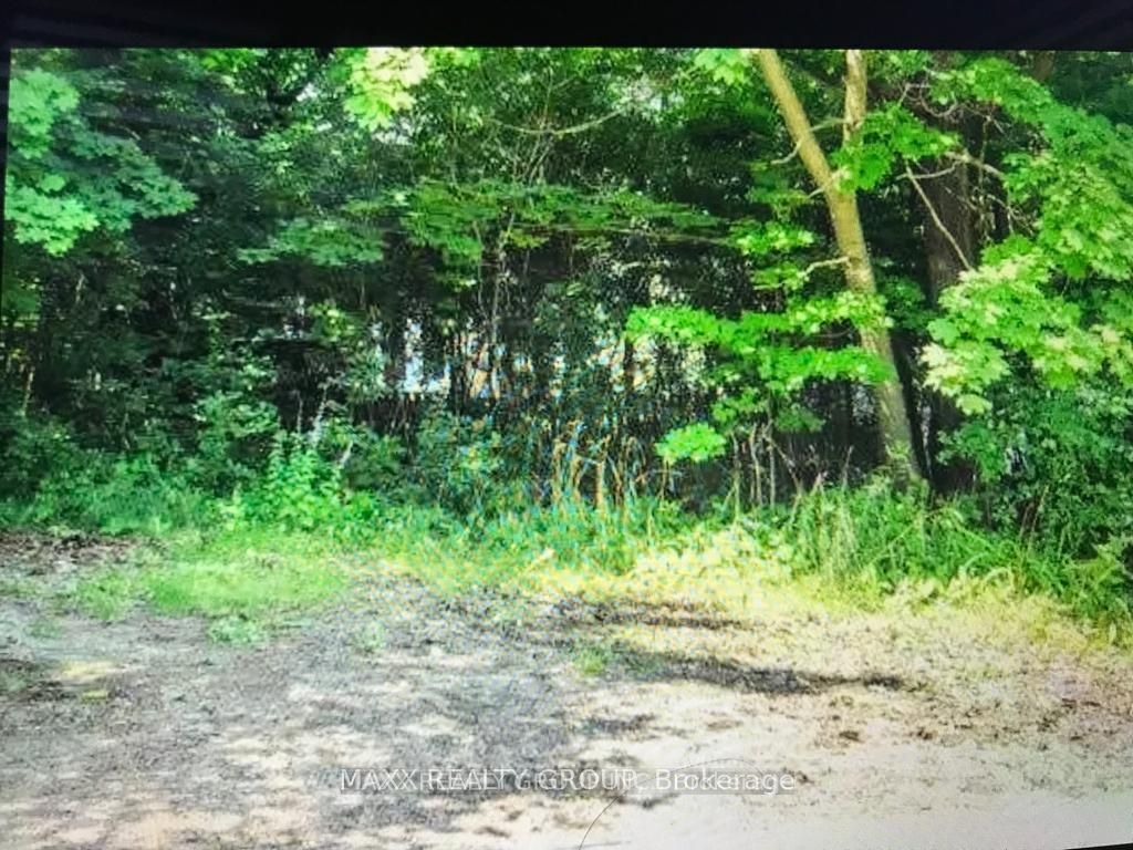 Lt 24 Birchcliff Avenue Property Photo 11
