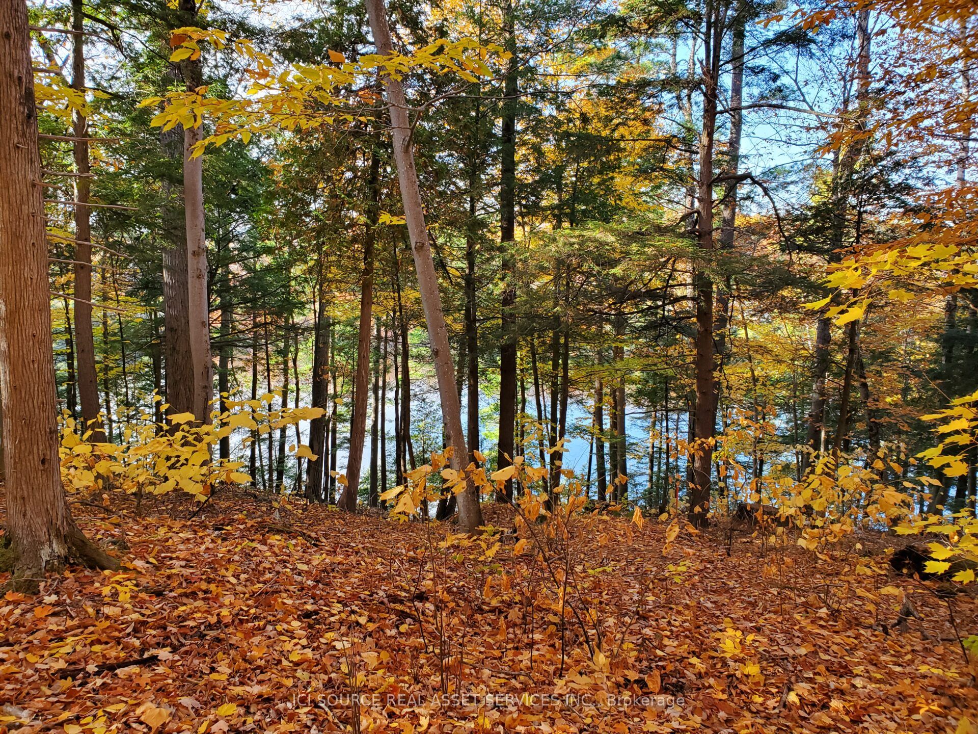19 Shady Maple Road Property Photo 5