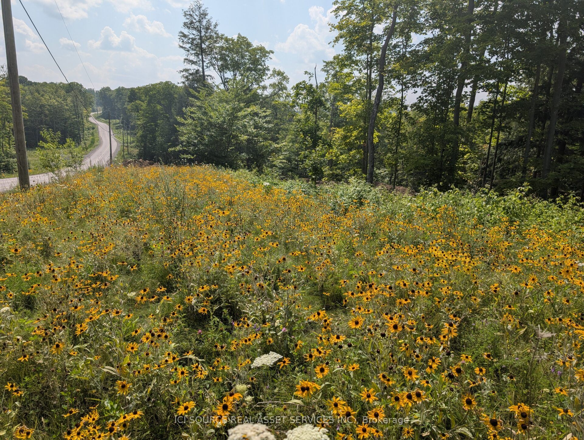 19 Shady Maple Road Property Photo 14