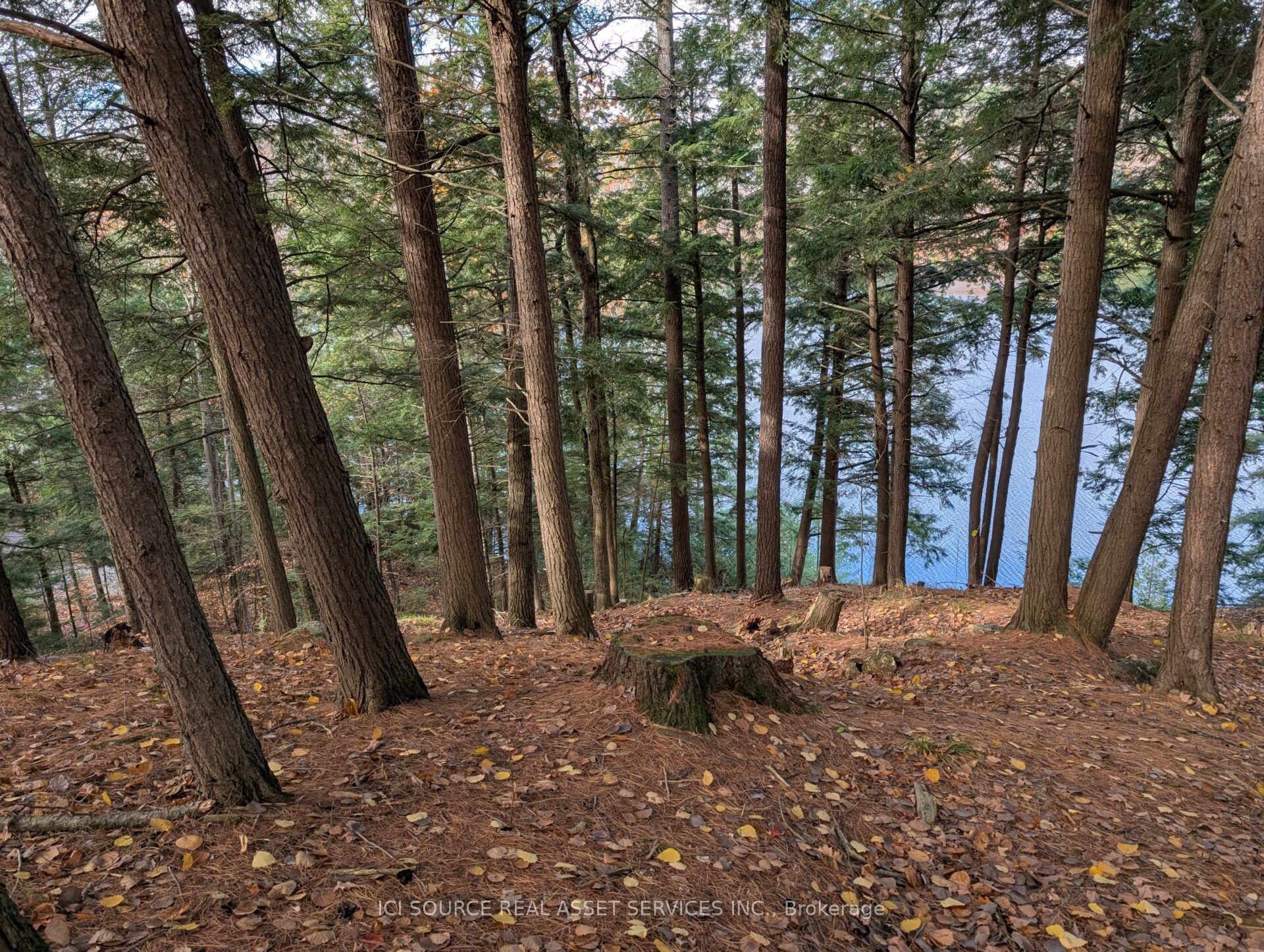 19 Shady Maple Road Property Photo 16