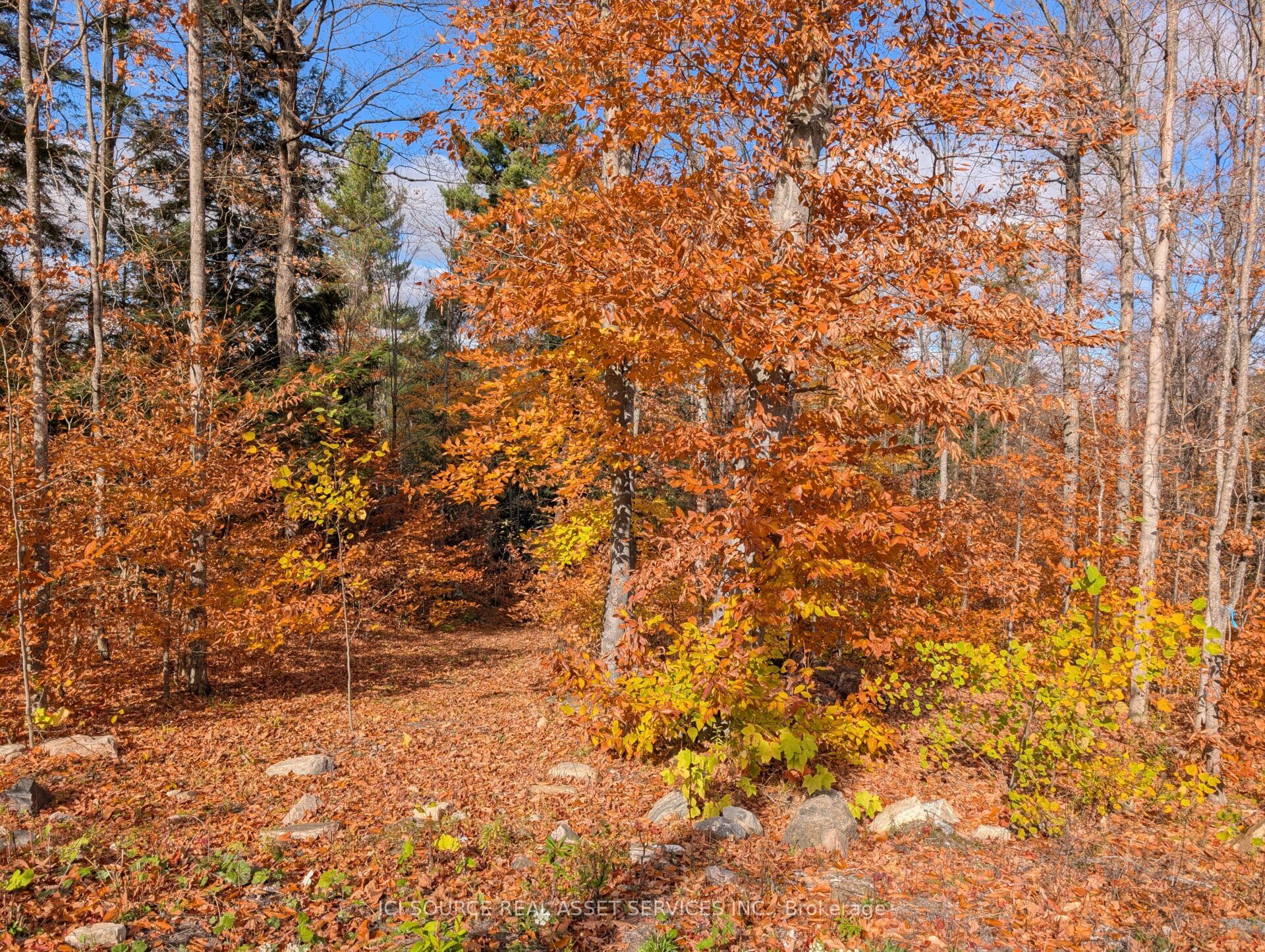 19 Shady Maple Road Property Photo 18