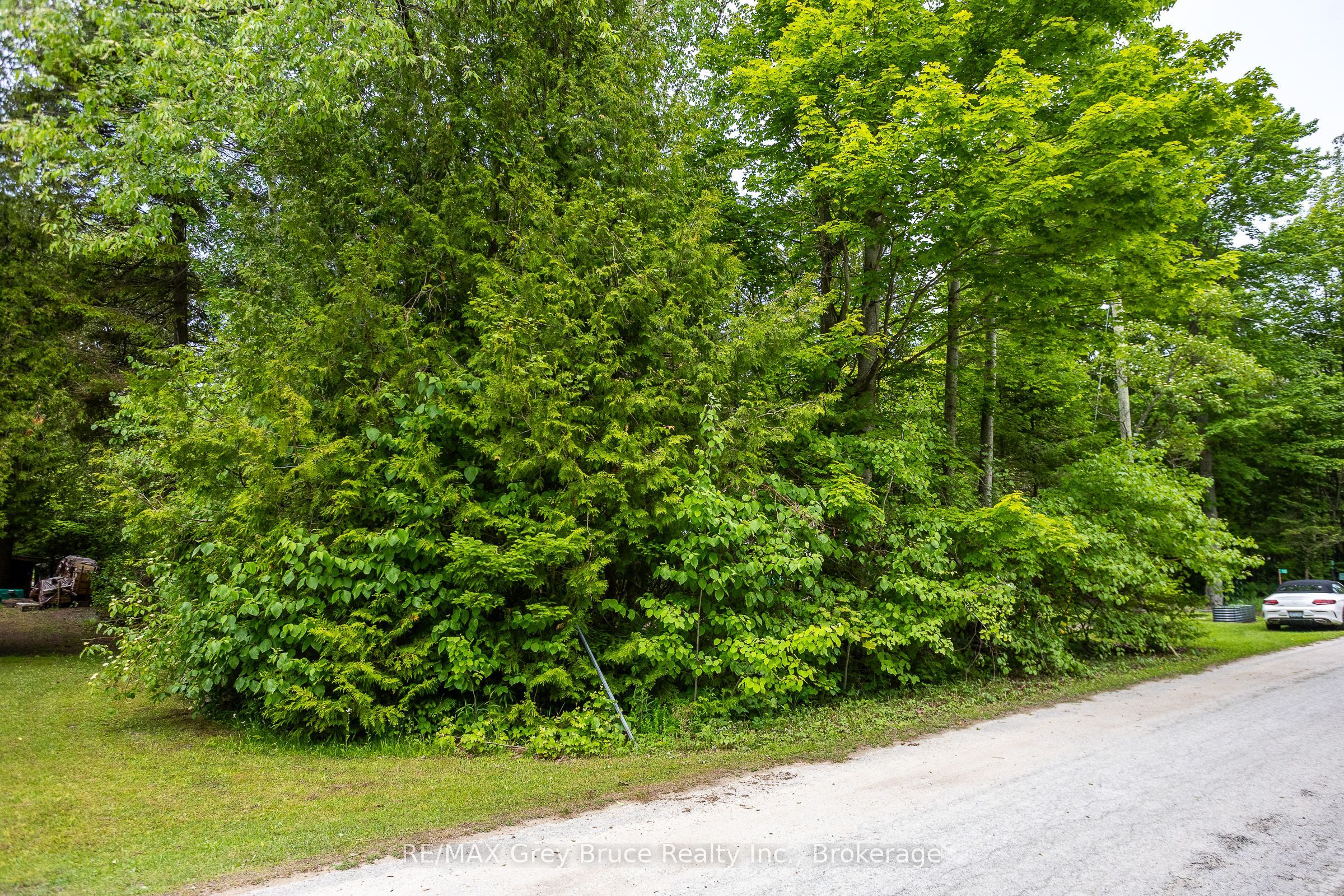 8 Toronto Avenue Property Photo 13