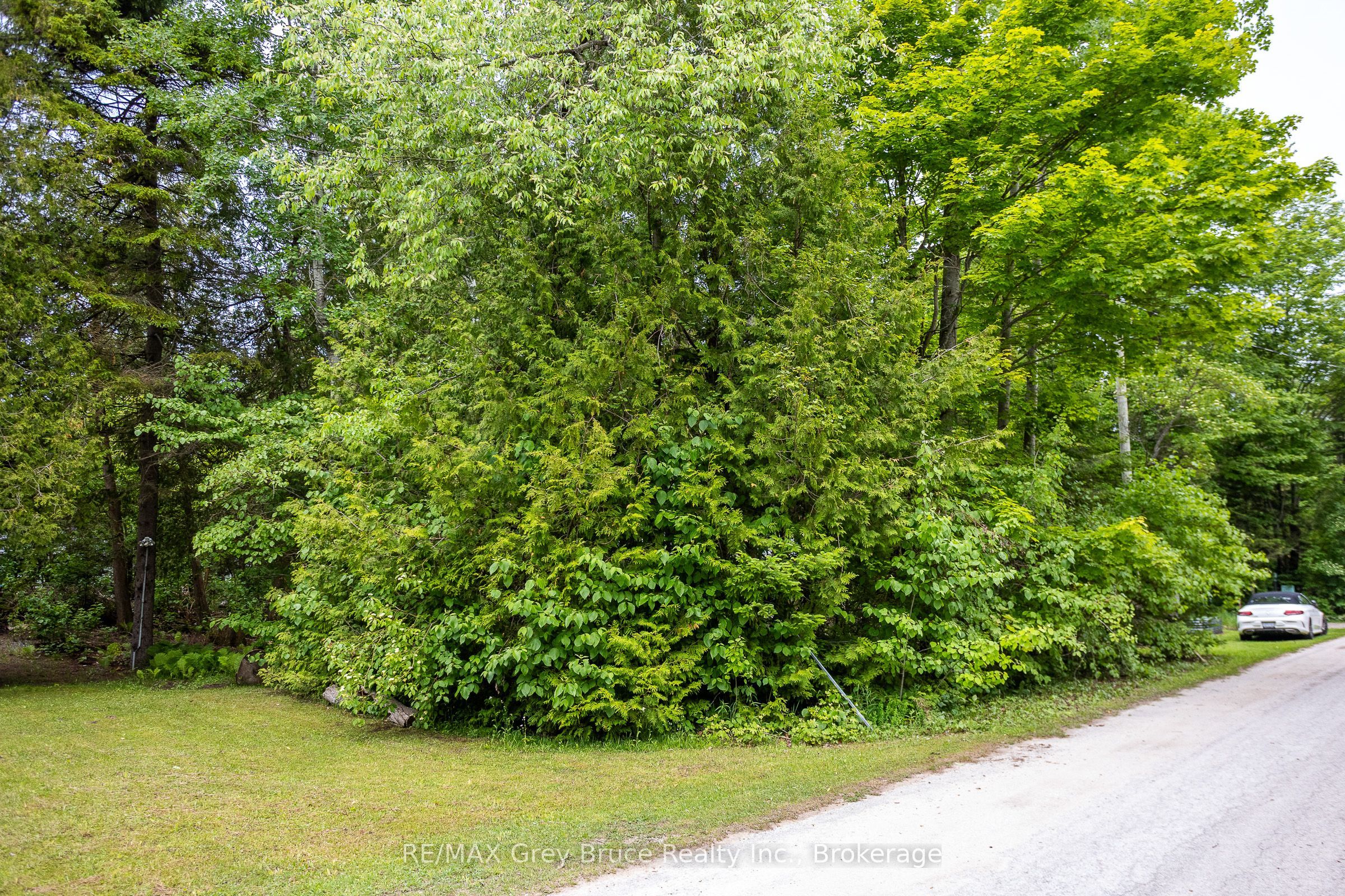 8 Toronto Avenue Property Photo 14