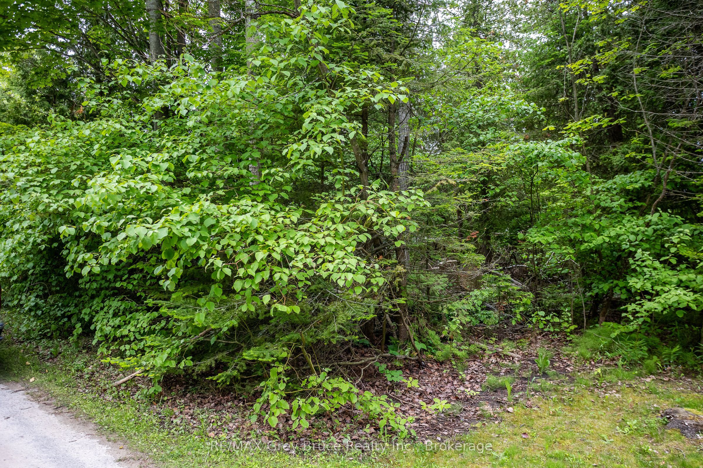 8 Toronto Avenue Property Photo 15