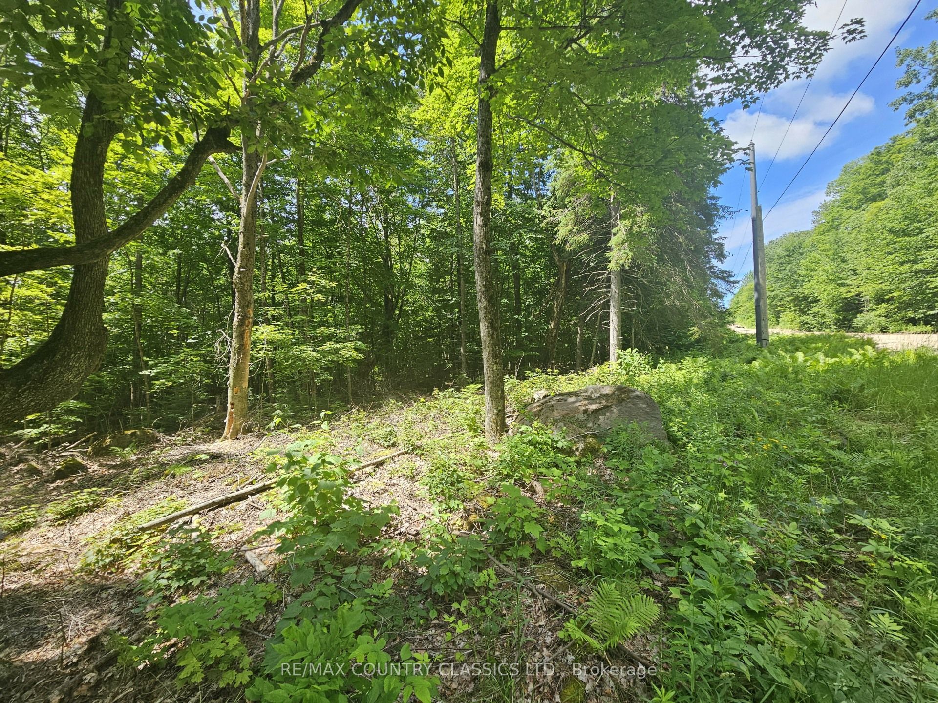 Pt Lt 22 O'grady Settlement Road Property Photo 1