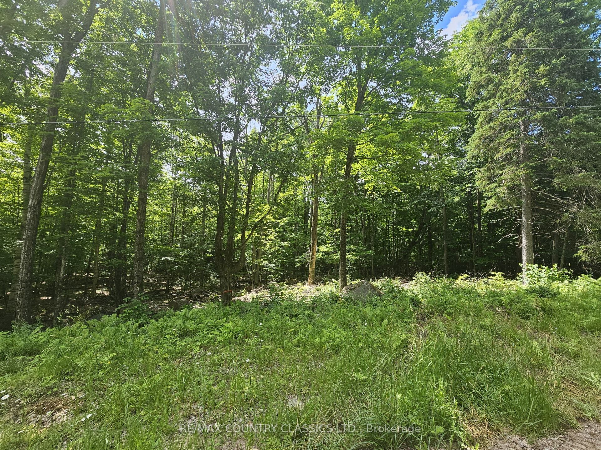Pt Lt 22 O'grady Settlement Road Property Photo 2