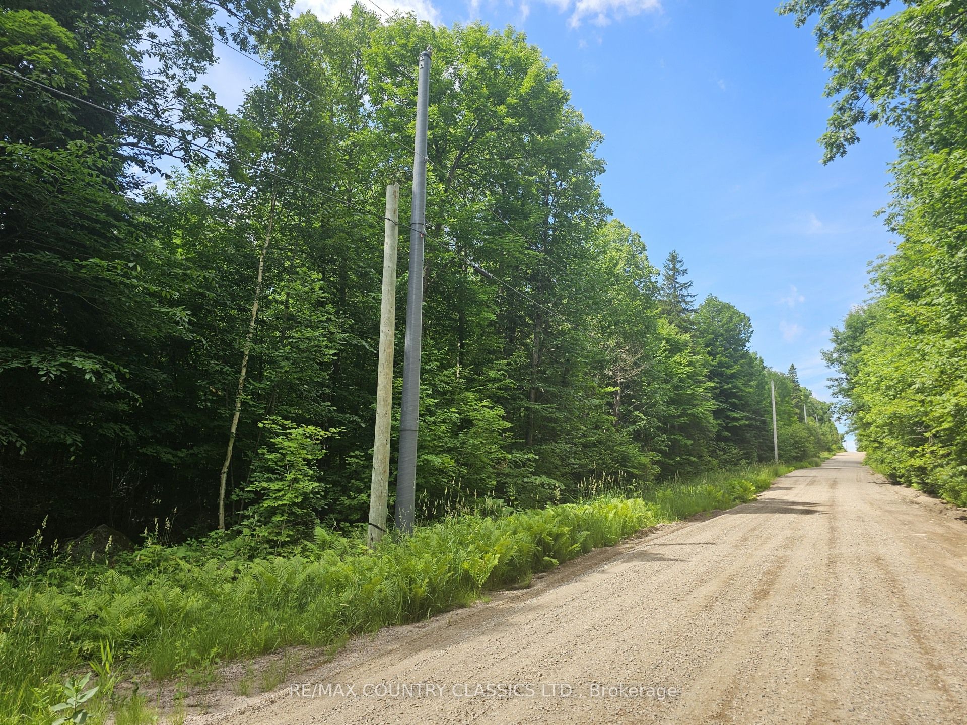 Pt Lt 22 O'grady Settlement Road Property Photo 3