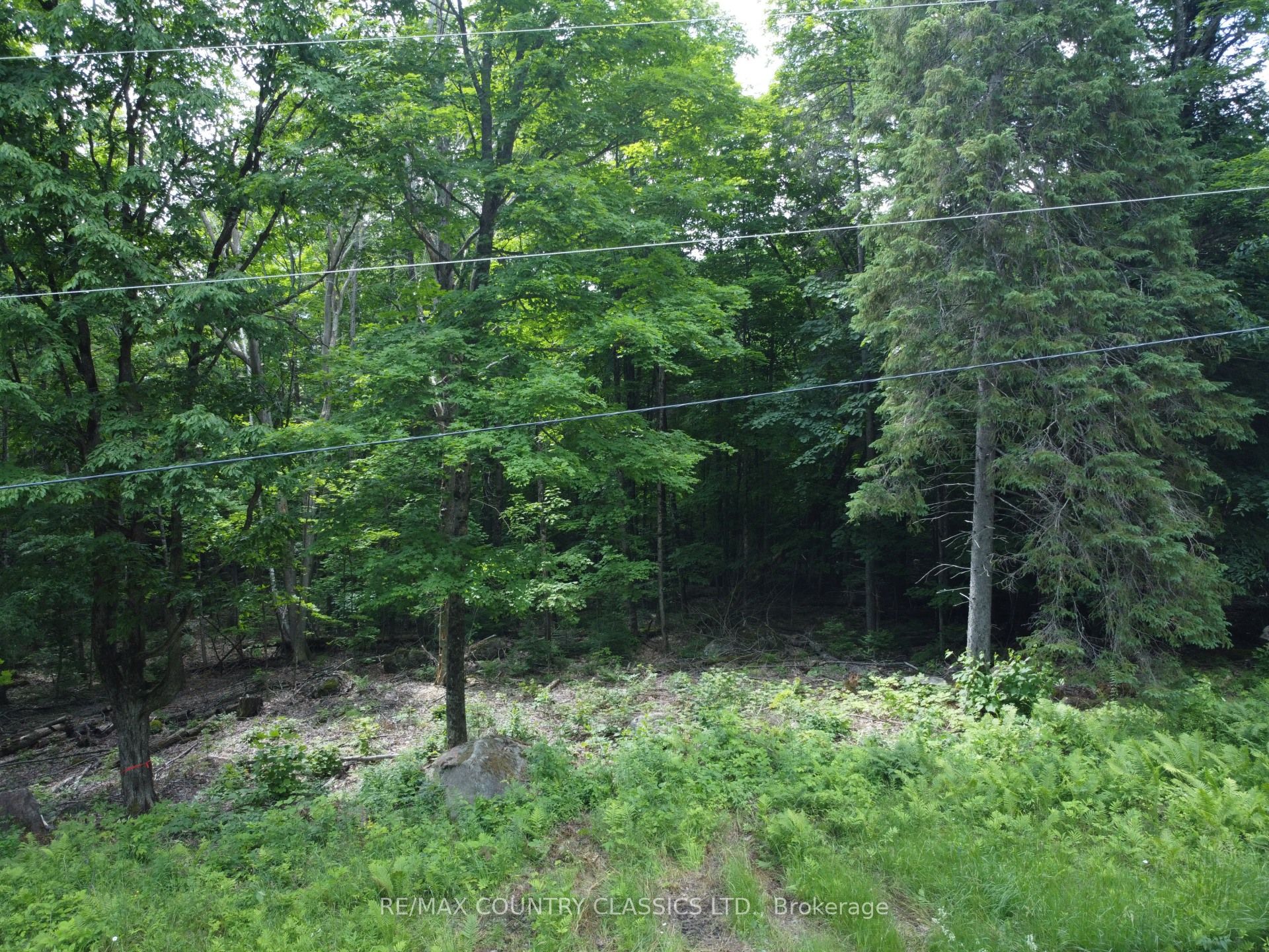 Pt Lt 22 O'grady Settlement Road Property Photo 5