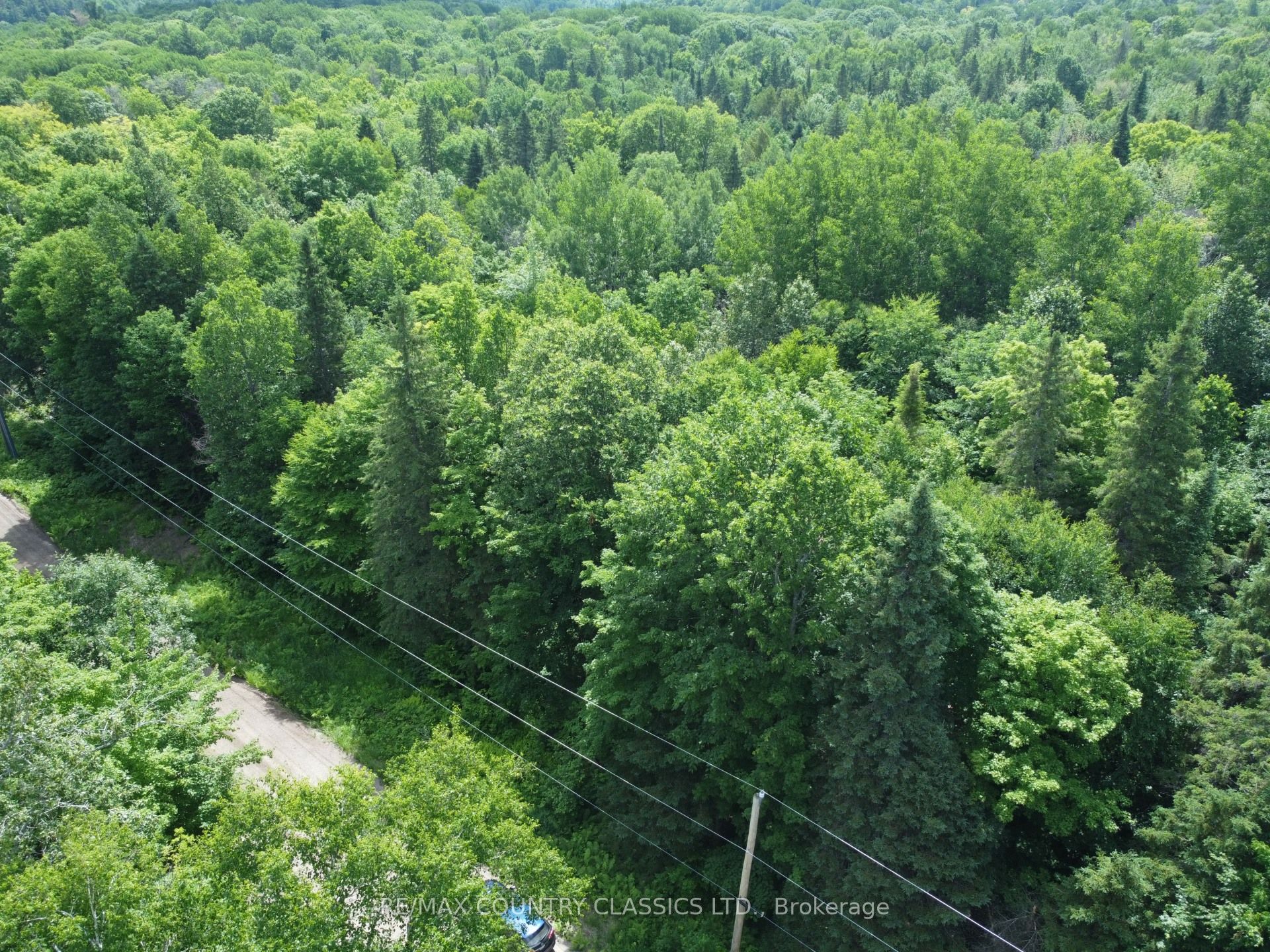 Pt Lt 22 O'grady Settlement Road Property Photo 6