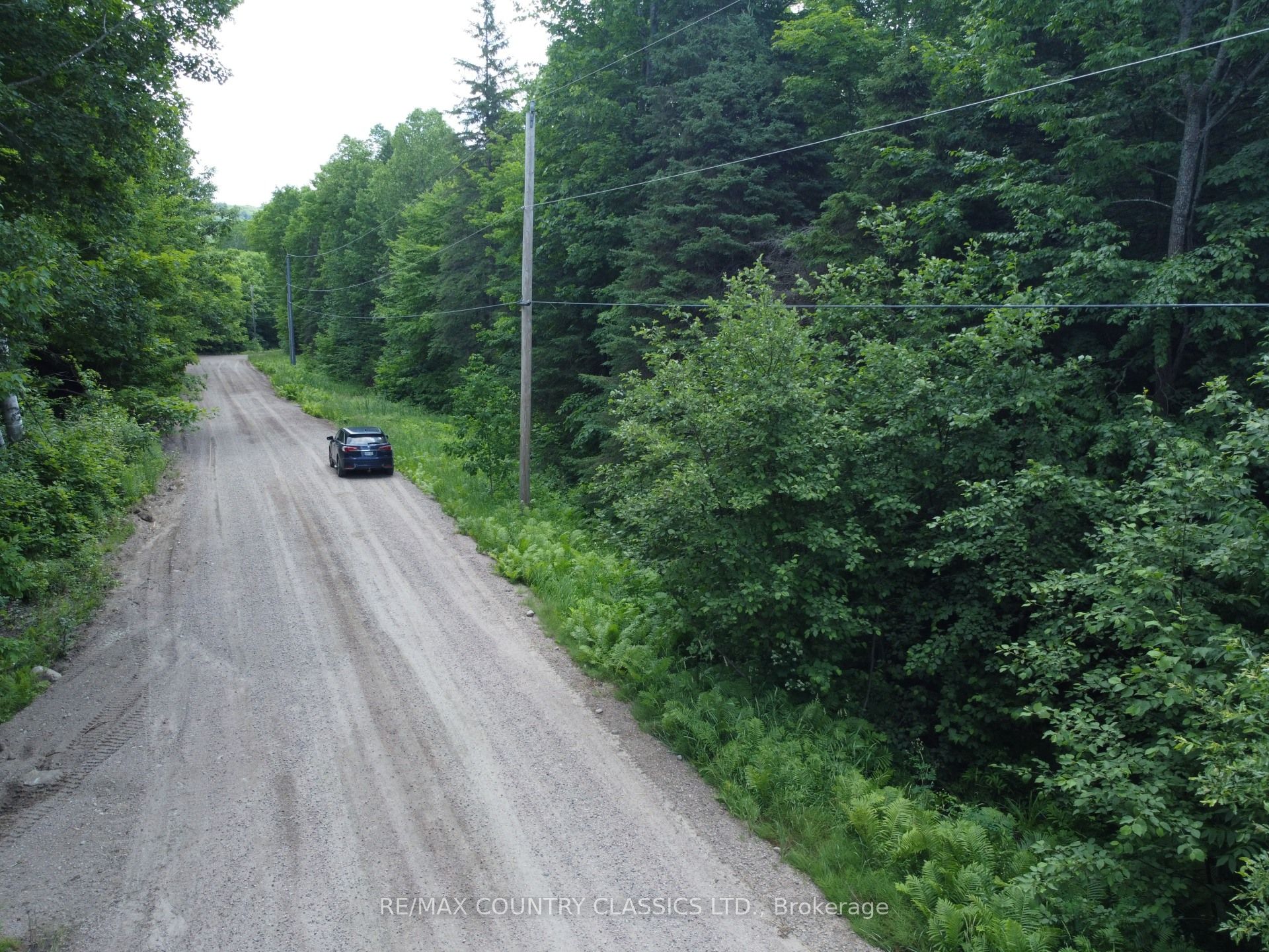 Pt Lt 22 O'grady Settlement Road Property Photo 7