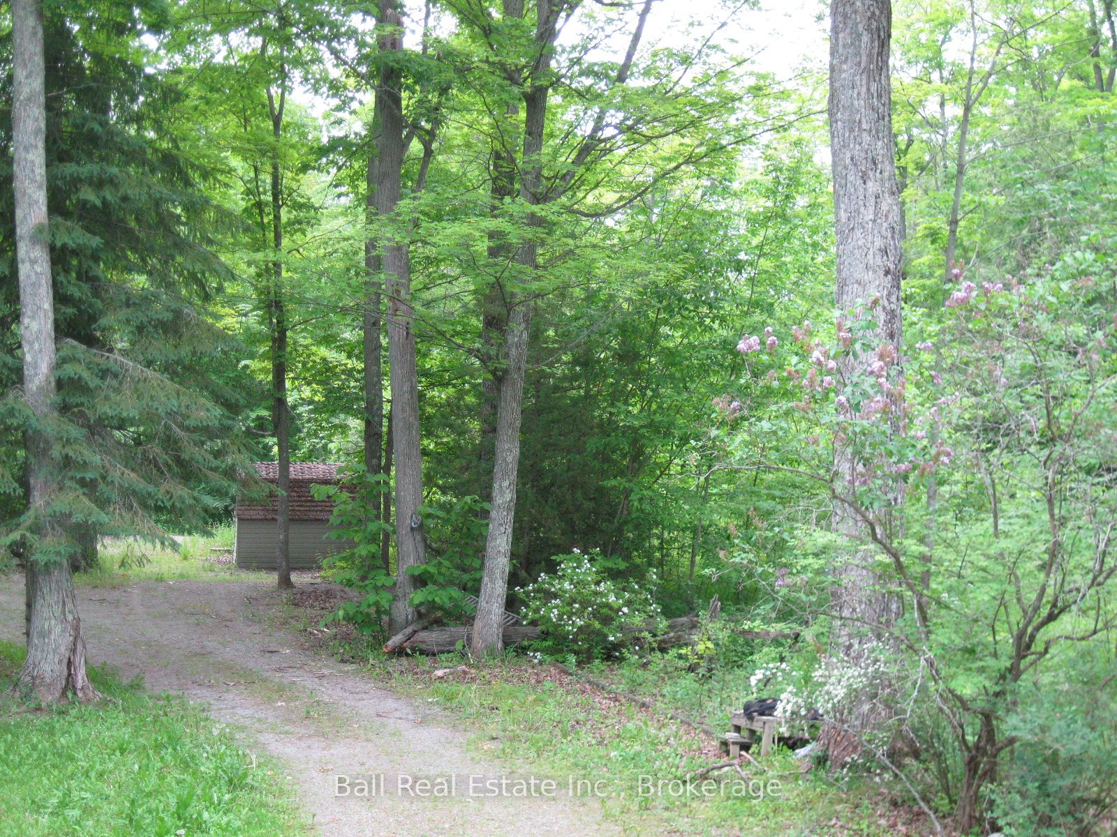 24 Maple Ridge Drive Property Photo 15