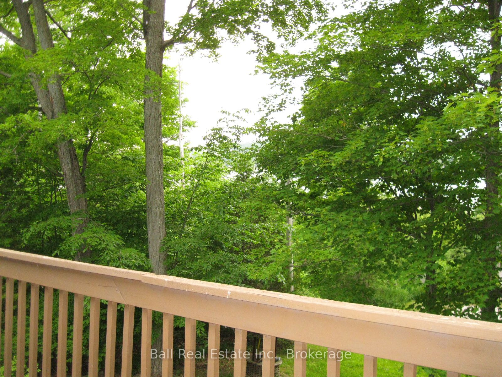 24 Maple Ridge Drive Property Photo 32