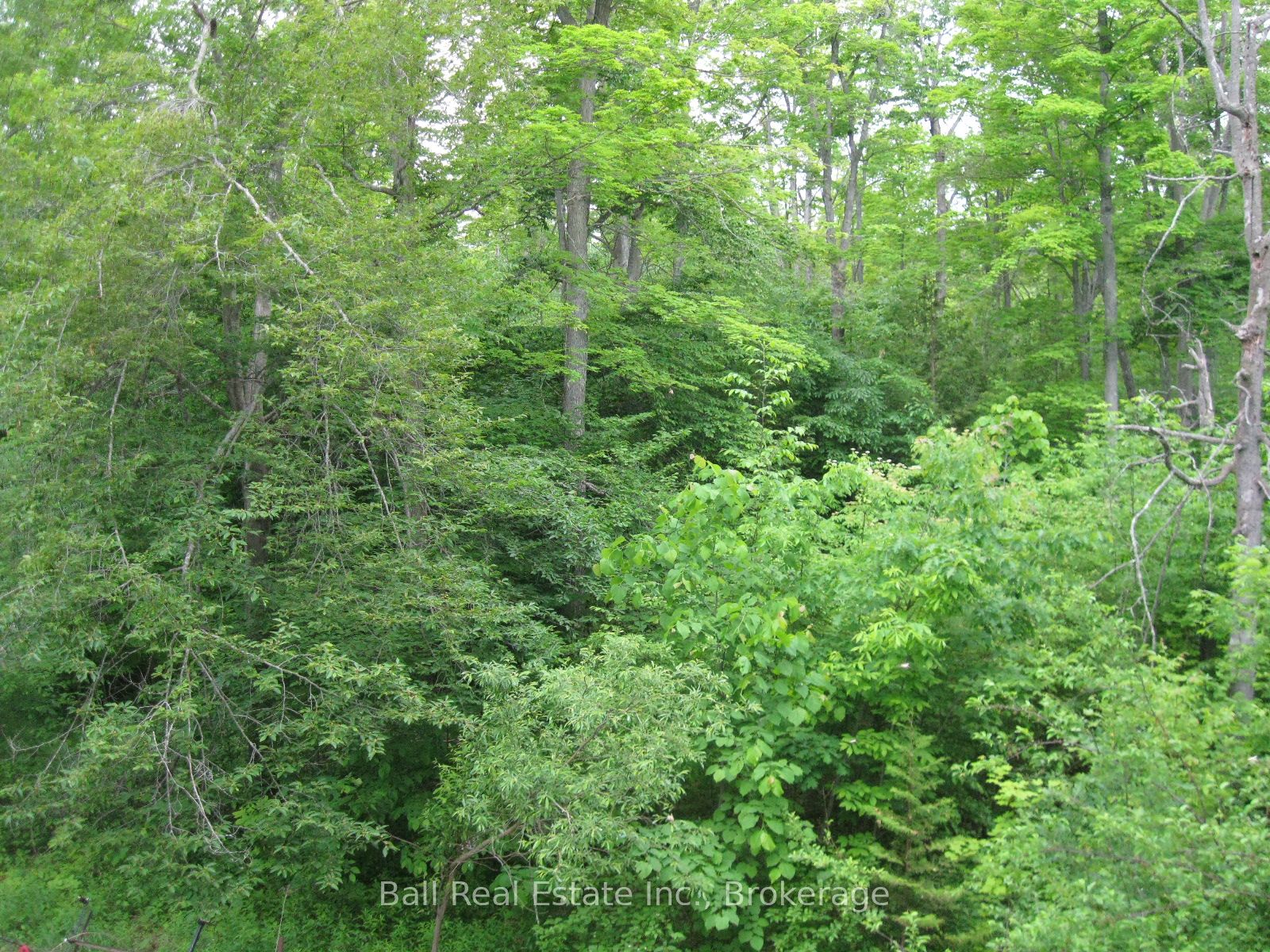 24 Maple Ridge Drive Property Photo 34