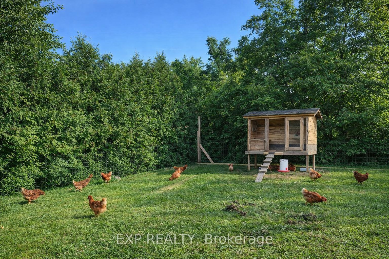 3460 Garner Road Property Photo 5