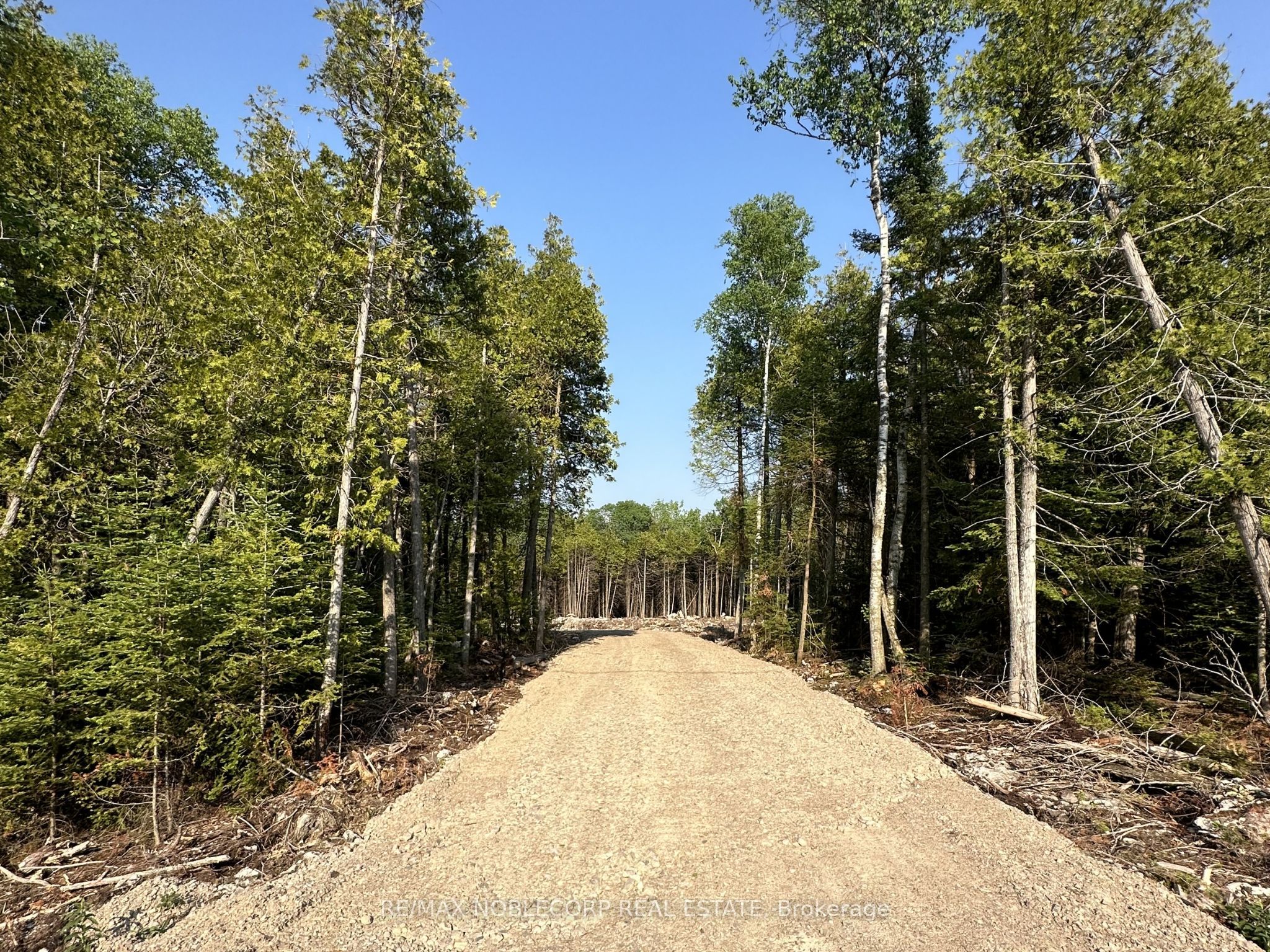 42 Trillium Crossing Property Photo 4