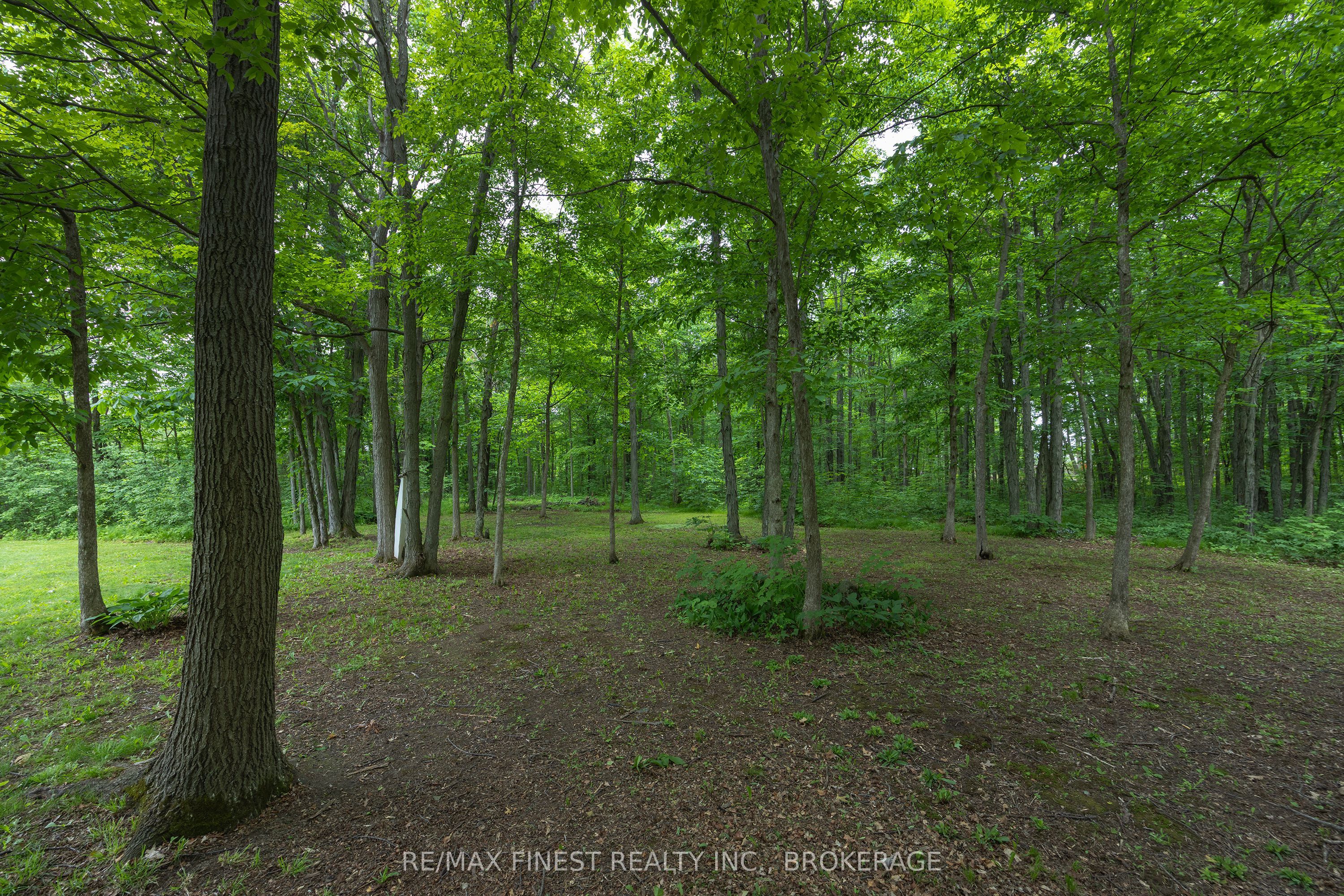 3886 Holmes Road Property Photo 46