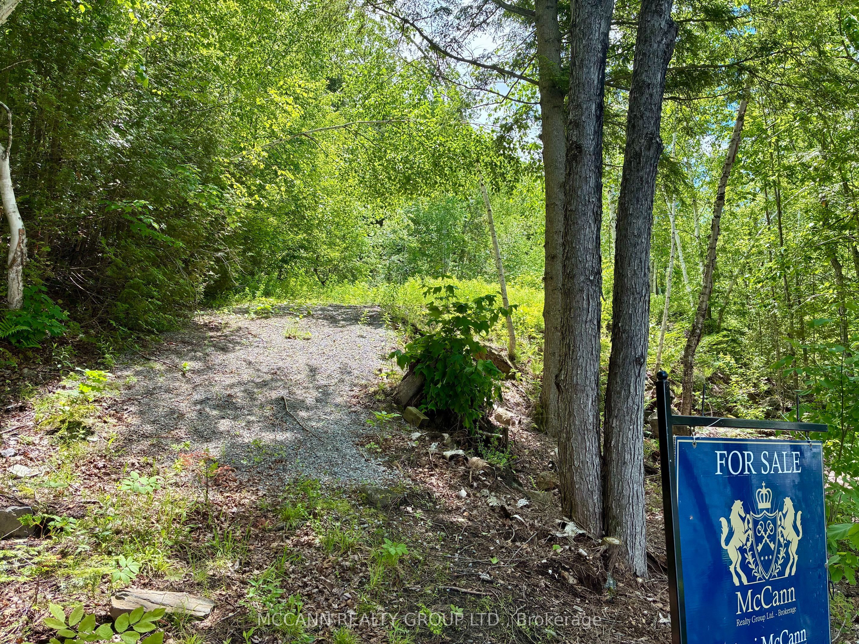0 Starlight Road Property Photo 12