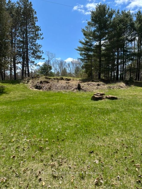 26686 Highway 62 S Property Photo 3