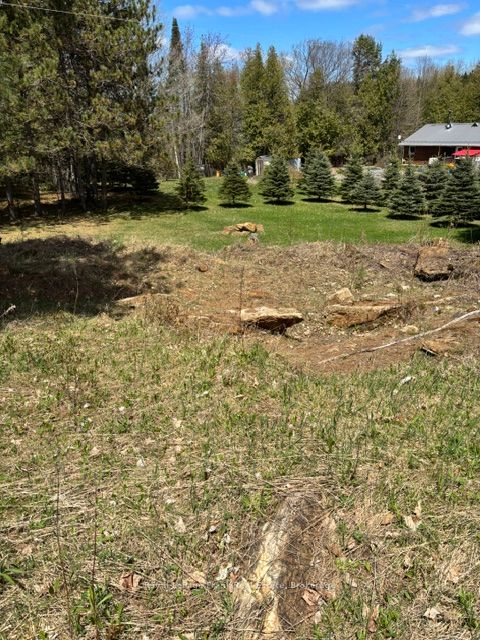 26686 Highway 62 S Property Photo 5
