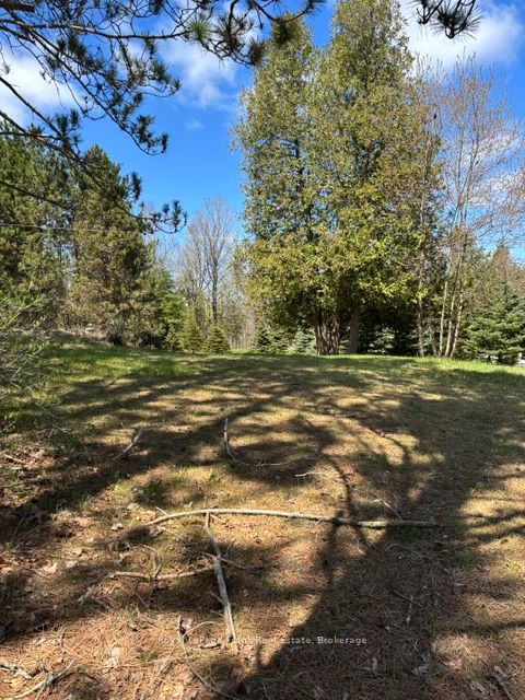 26686 Highway 62 S Property Photo 7