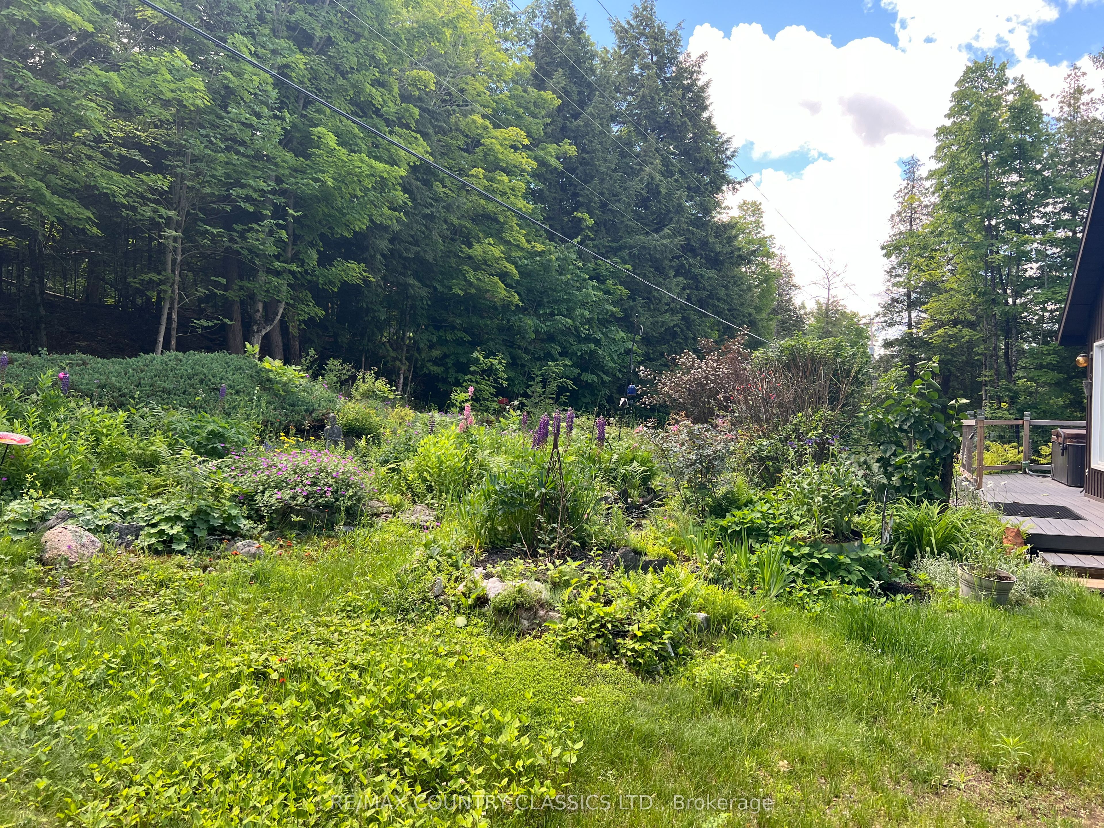 1322a Weslemkoon Lake Road Property Photo 42