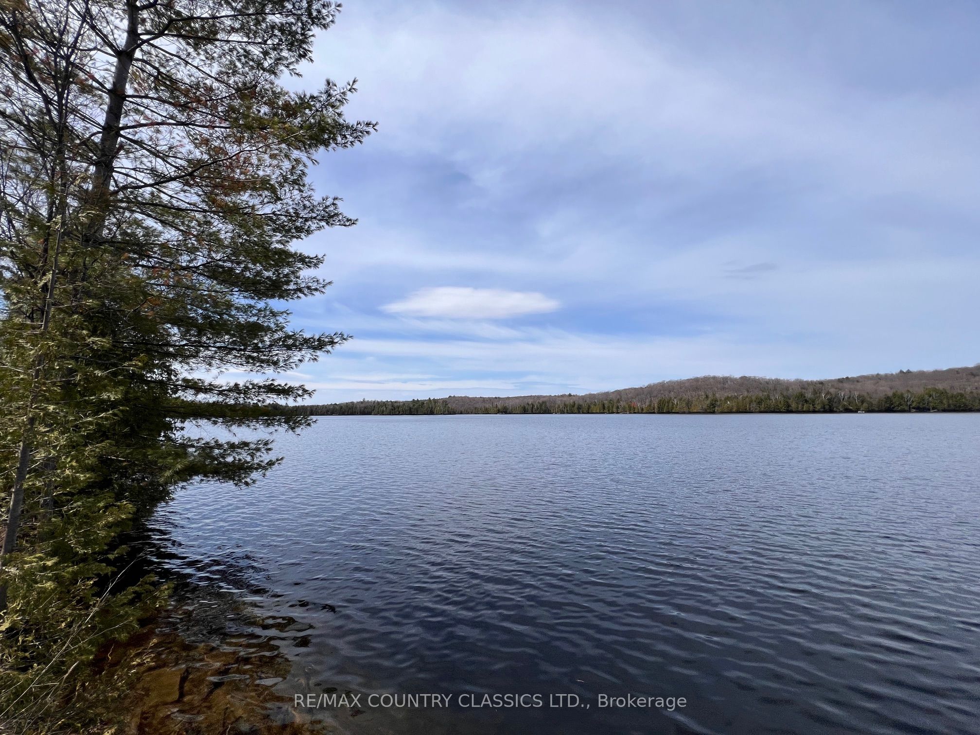 1322a Weslemkoon Lake Road Property Photo 43