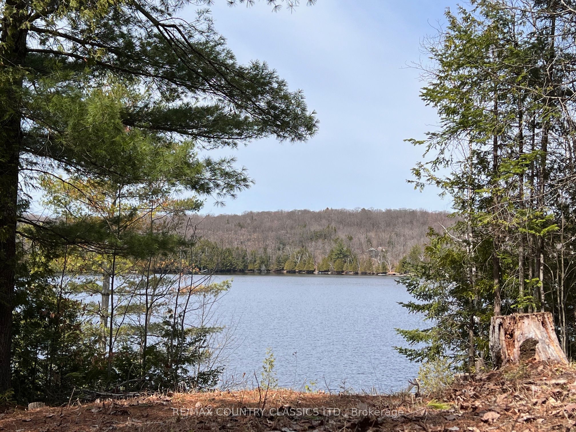1322a Weslemkoon Lake Road Property Photo 44